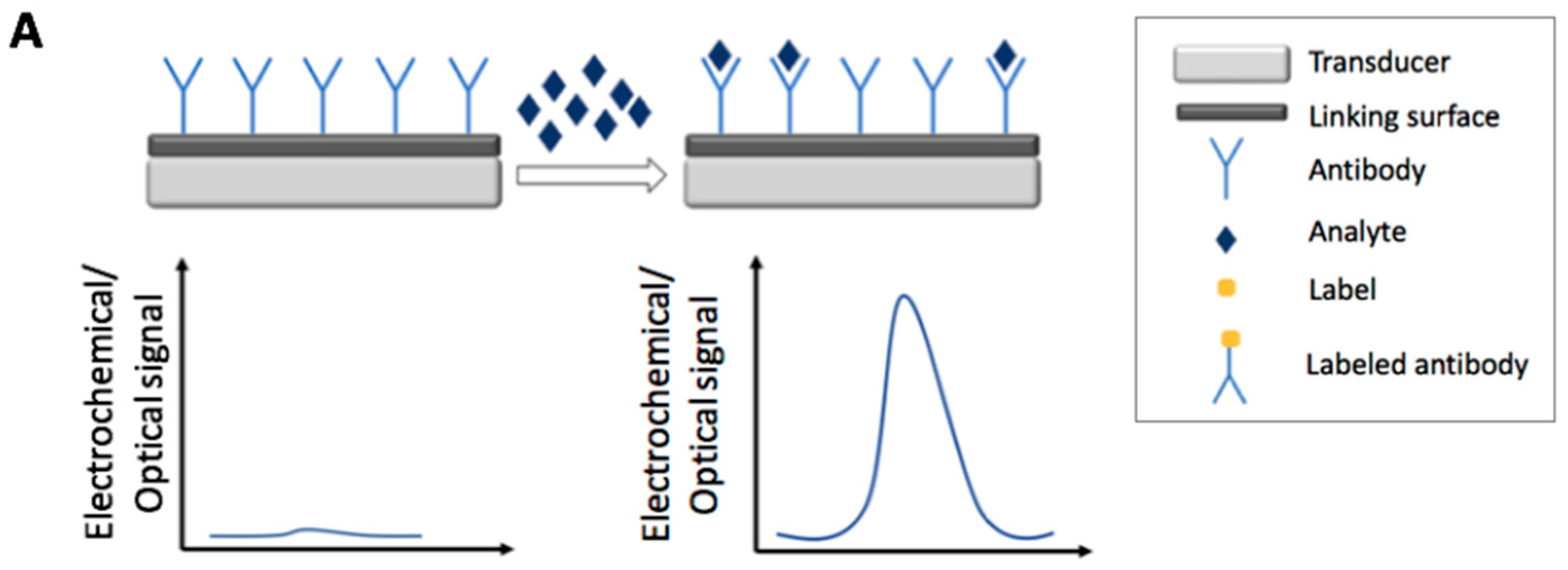 Foods 07 00148 g001a