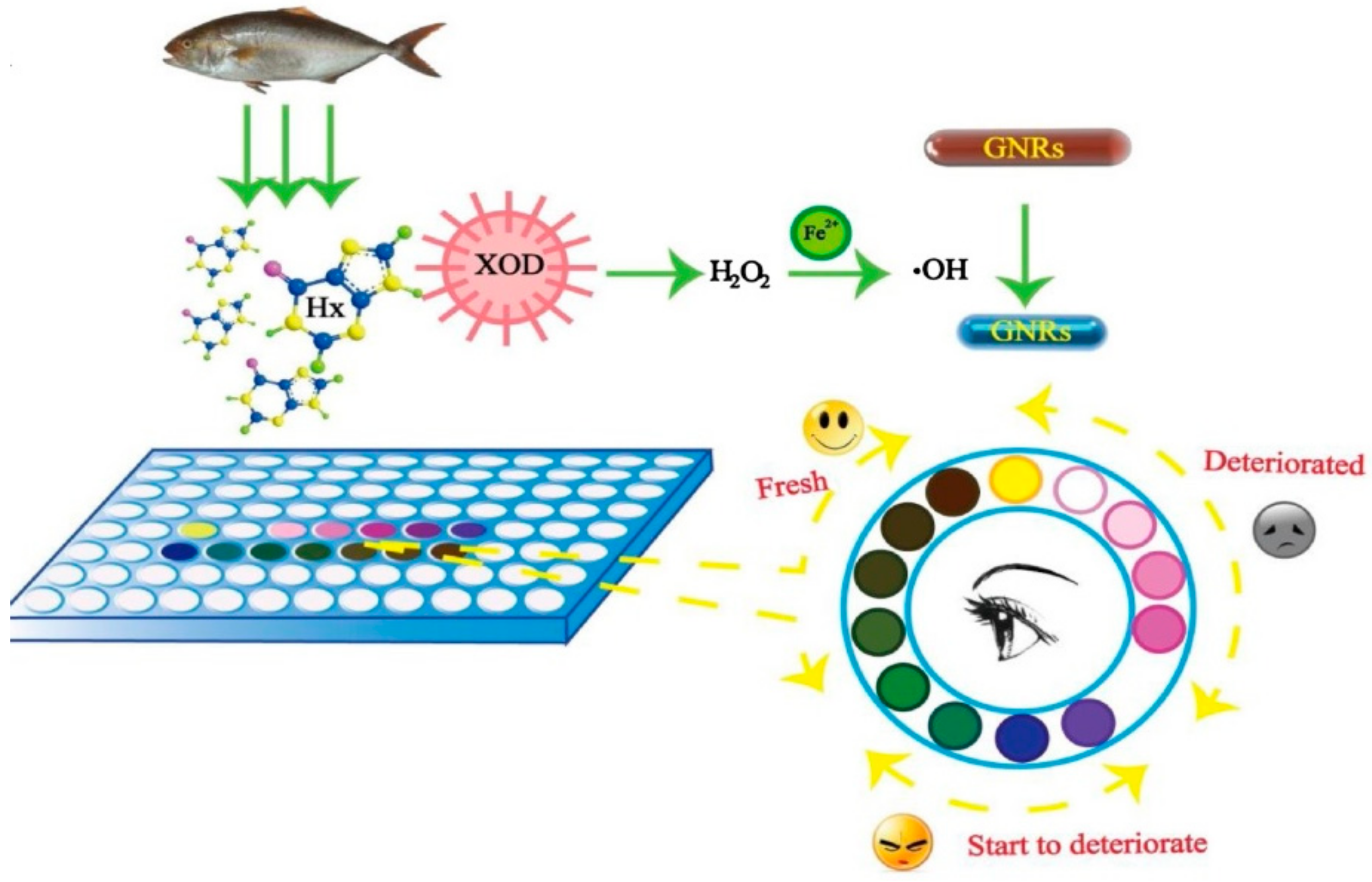 Foods 07 00168 g003 Foods 07 00168 g003