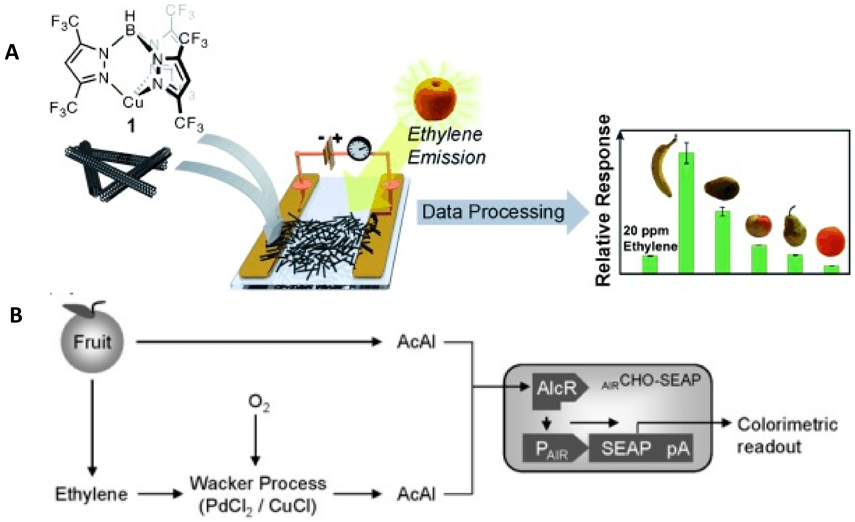 Foods 07 00168 g006 Foods 07 00168 g006