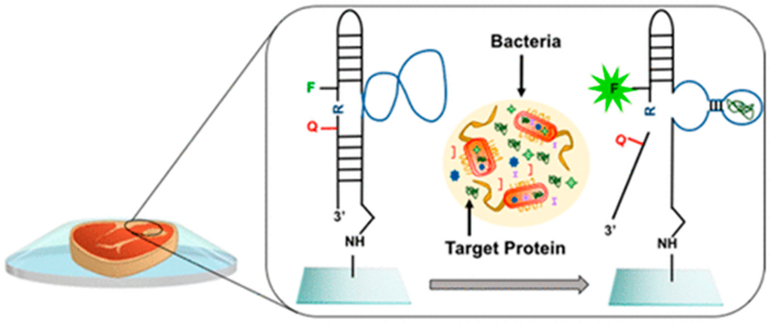 Foods 07 00168 g010 Foods 07 00168 g010
