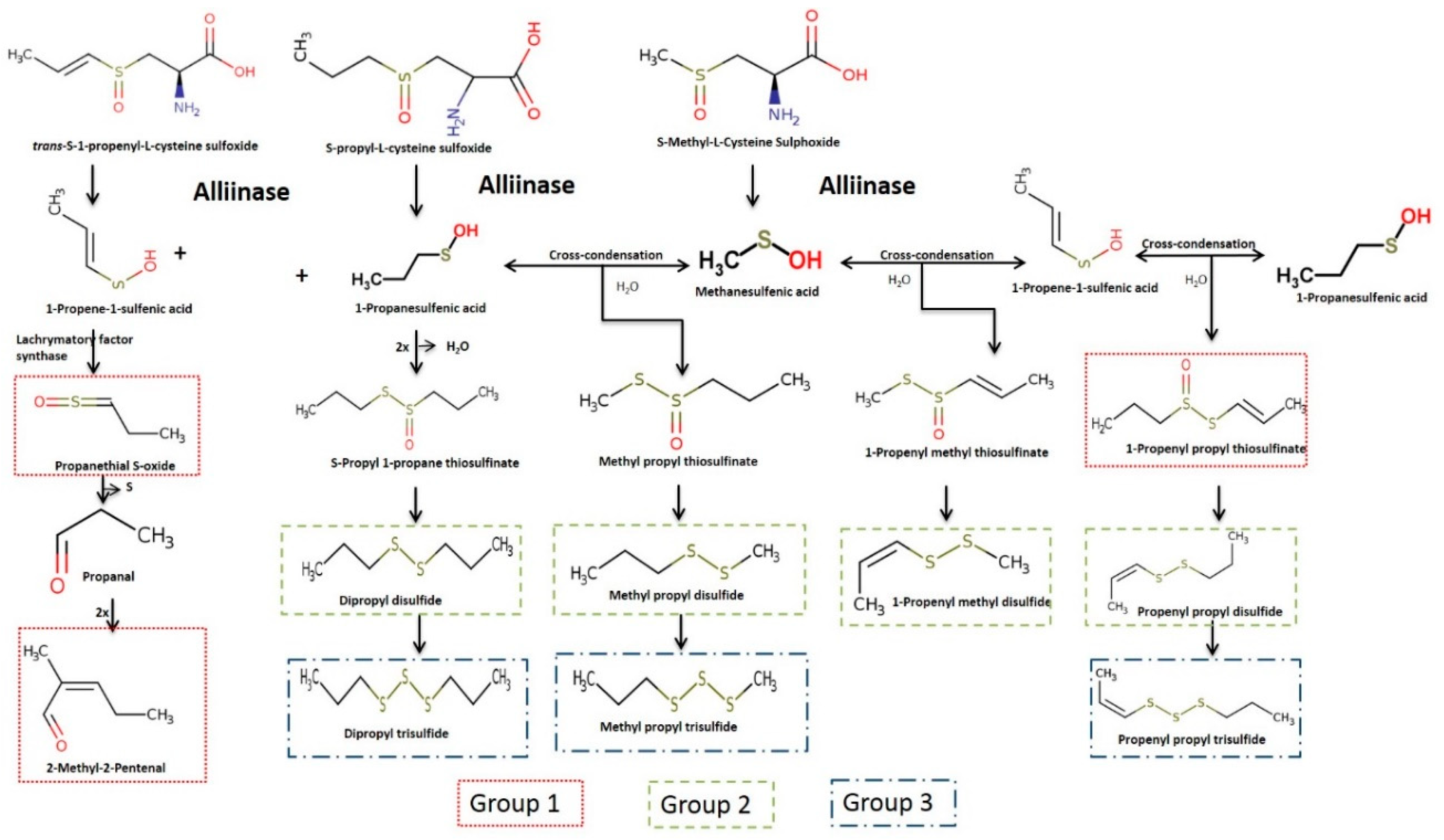 Foods 07 00183 g002 Foods 07 00183 g002