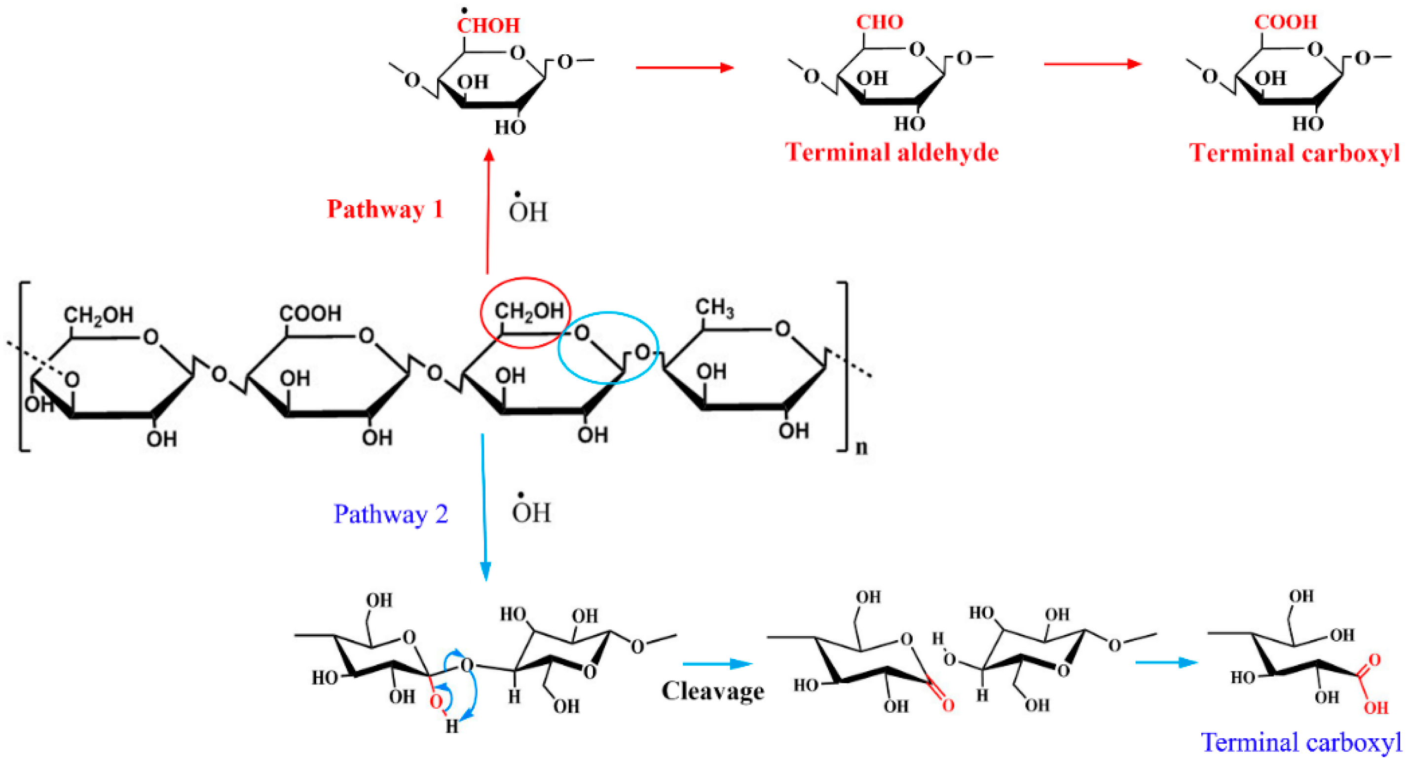 Foods 08 00031 g003 Foods 08 00031 g003