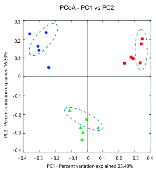 Exploring the Brine Microbiota of a Traditional Norwegian