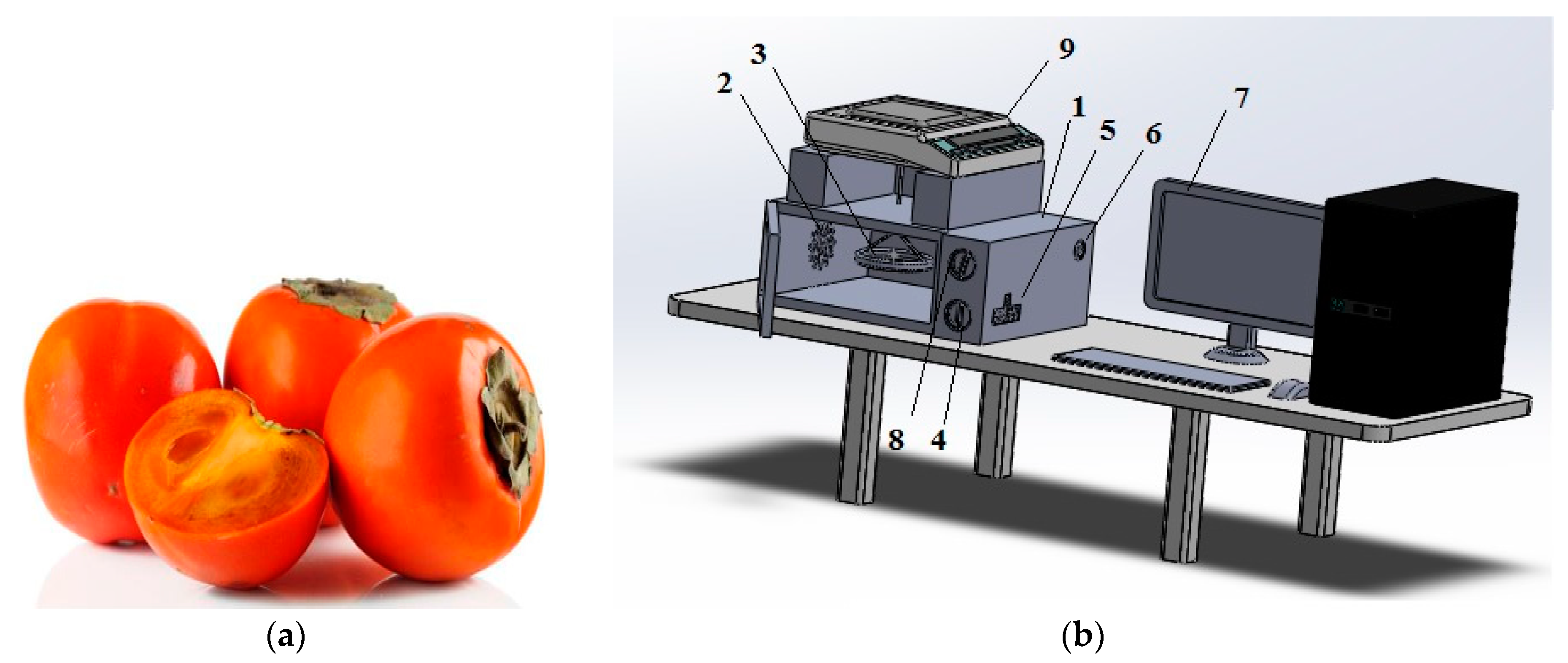 Microwave Fruit Drying Equipment/Drying Fruit Chips in Microwave