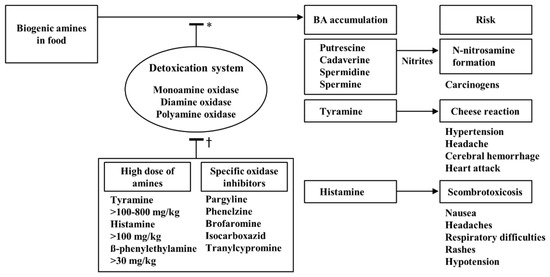 Foods Free Full Text Bacterial Production And Control Of Biogenic Amines In Asian Fermented Soybean Foods Html