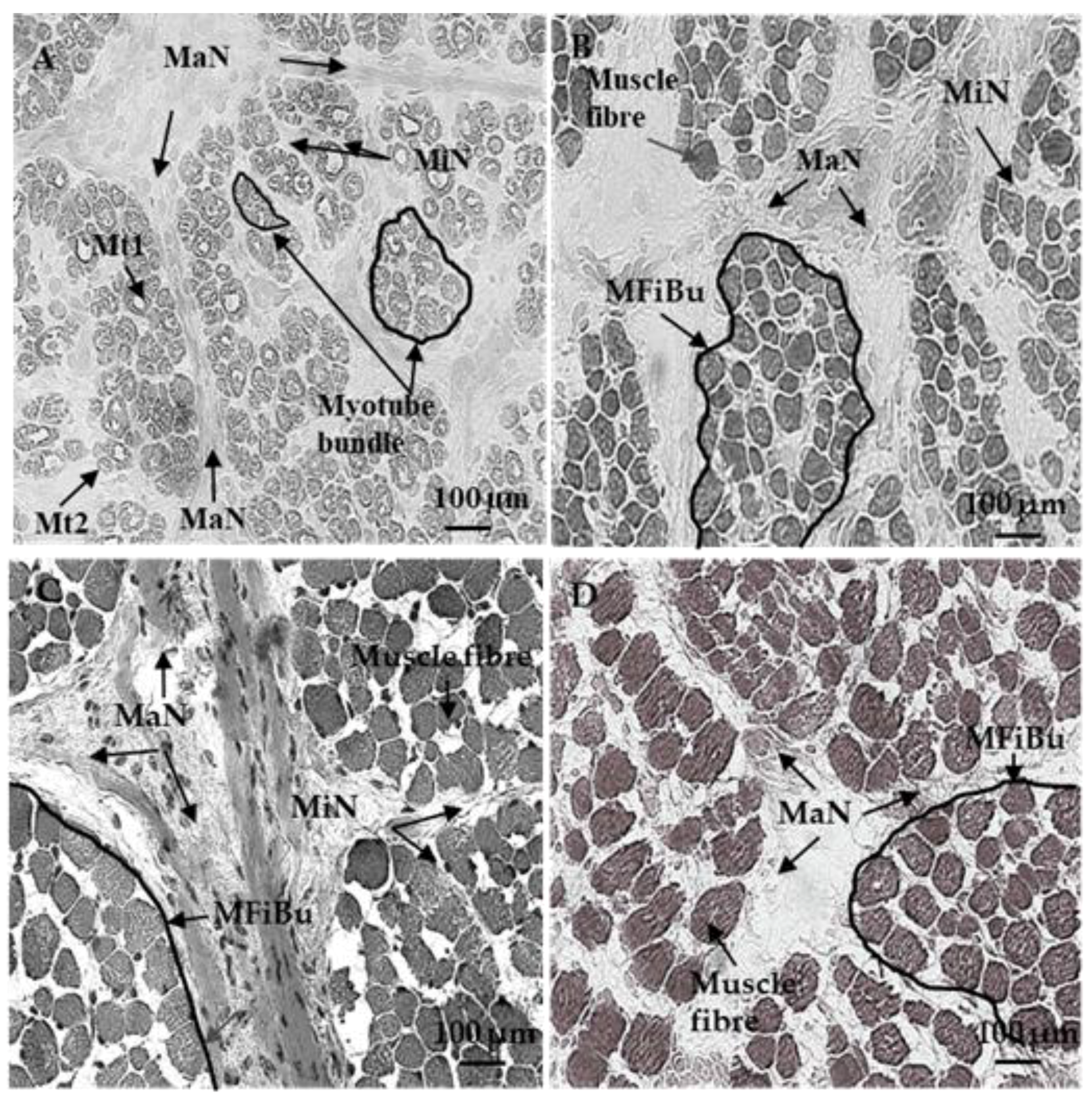 Foods 08 00097 g001 Foods 08 00097 g001
