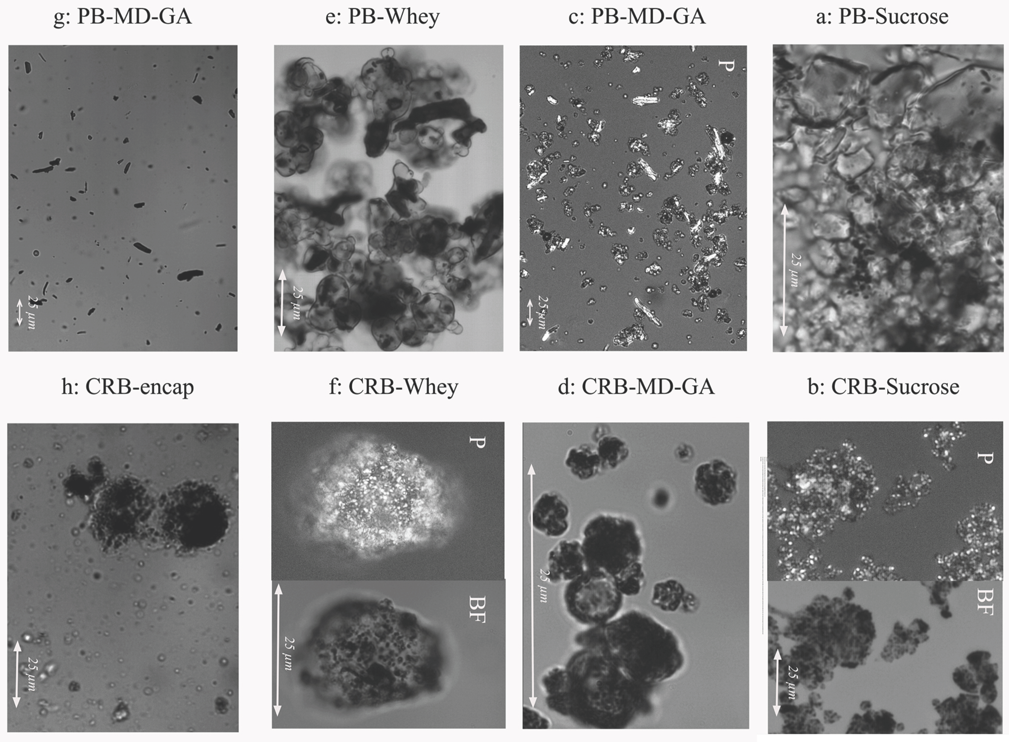 Foods 08 00108 g005 550