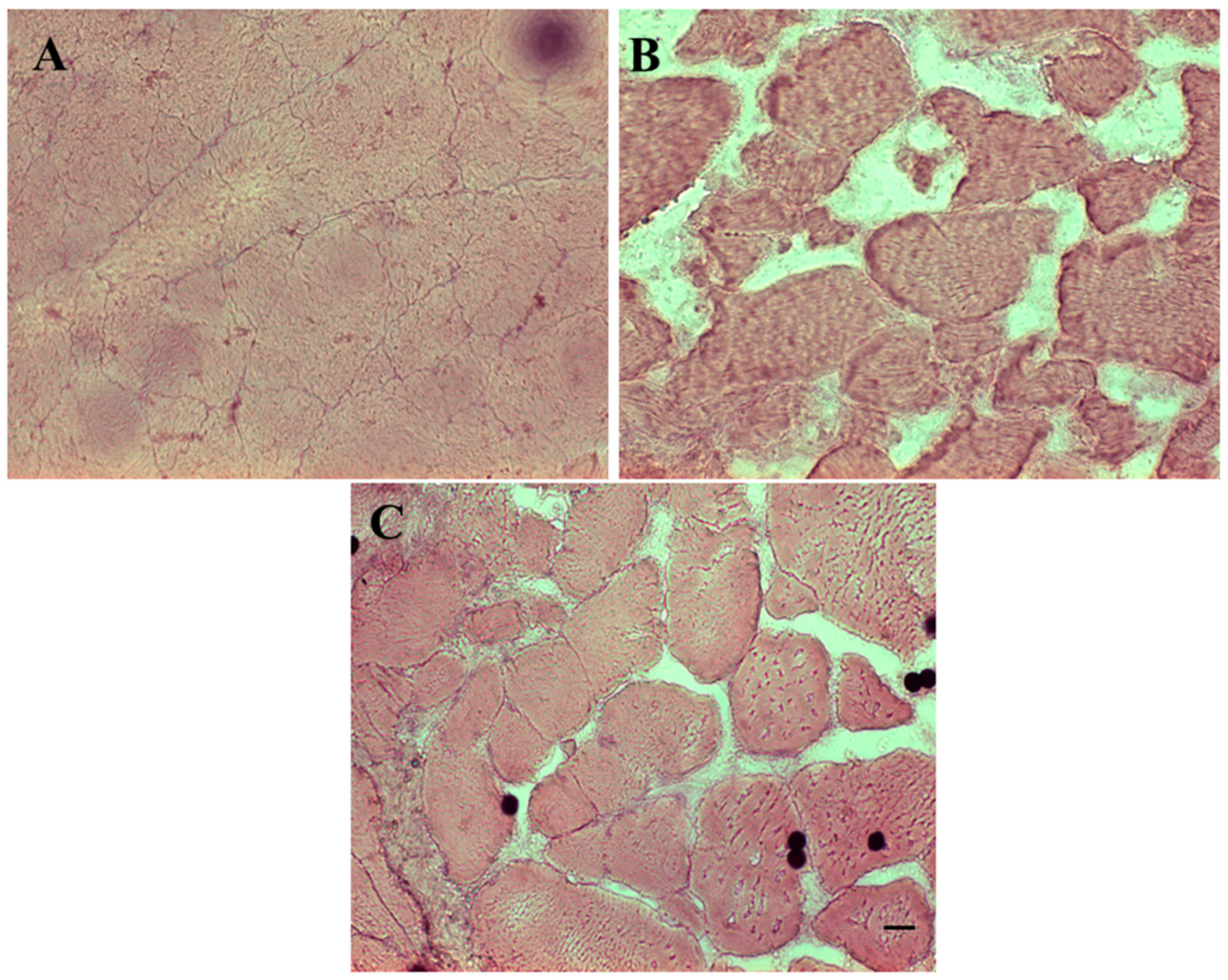 Foods 08 00113 g001 Foods 08 00113 g001