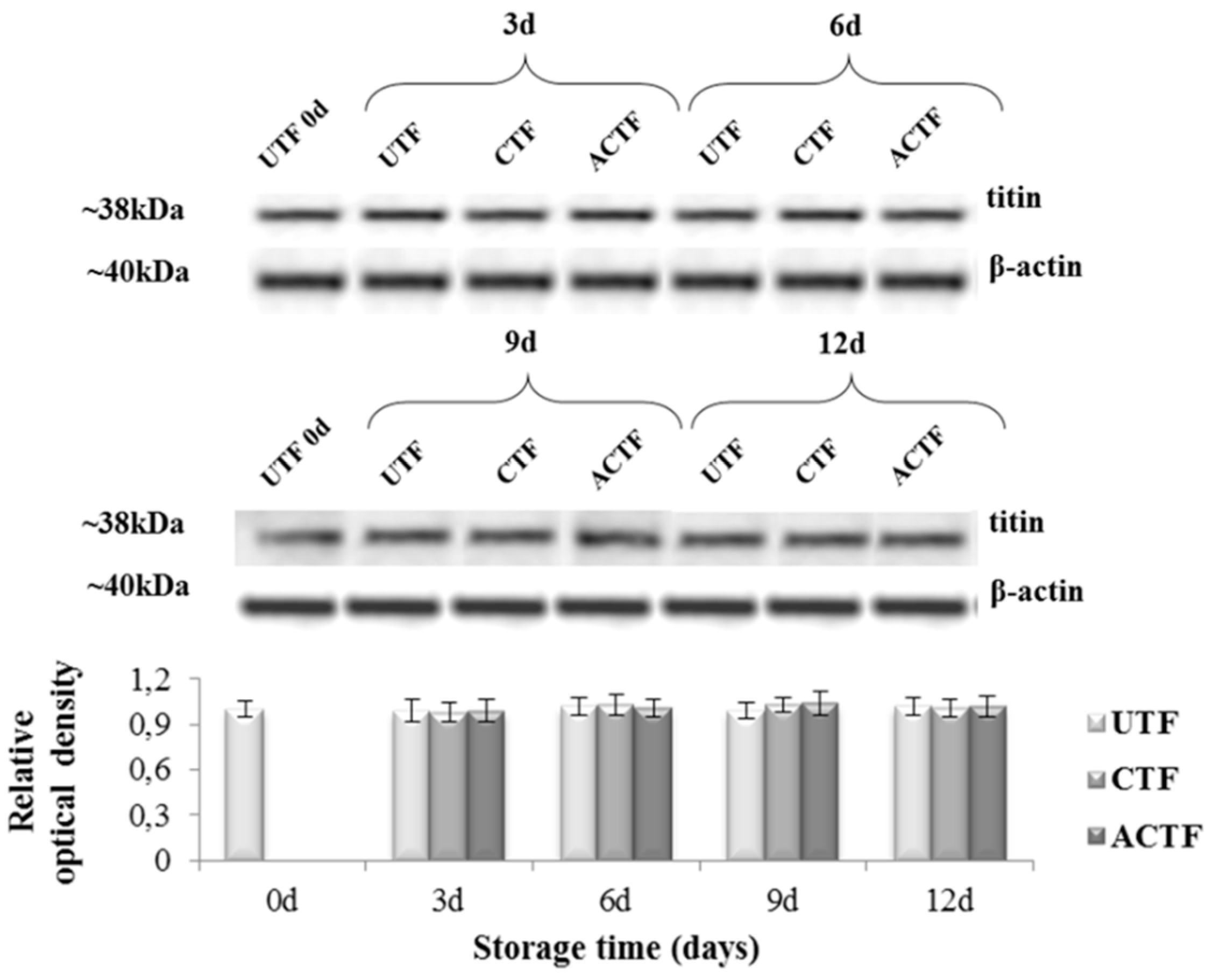 Foods Free Full Text Rapid Evaluation Methods For Quality Of Trout Oncorhynchus Mykiss Fresh Fillet Preserved In An Active Edible Coating Html Foods Free Full Text Rapid Evaluation Methods For Quality Of Trout Oncorhynchus Mykiss Fresh Fillet Preserved In An Active Edible Coating Html
