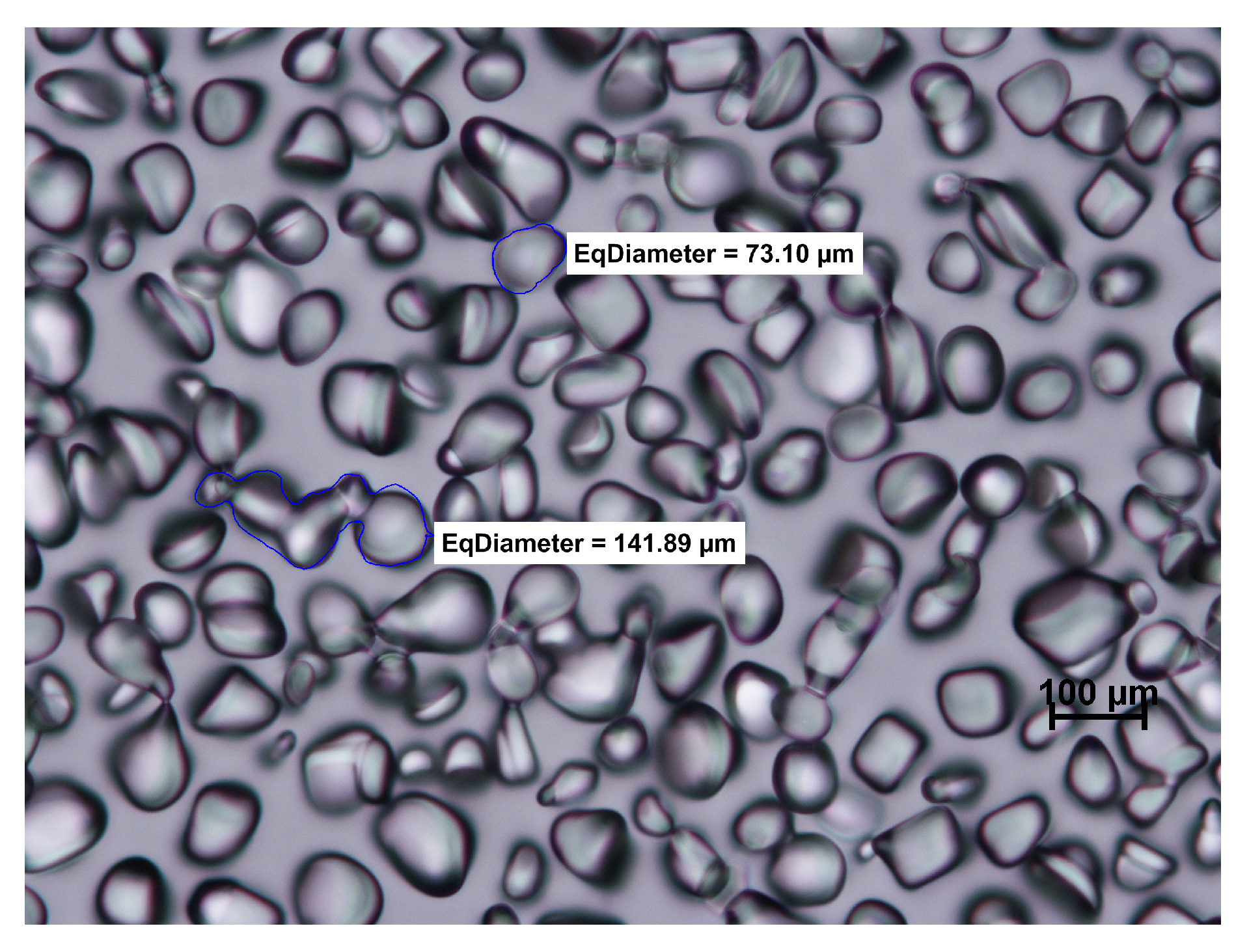 Foods 08 00117 g001 Foods 08 00117 g001