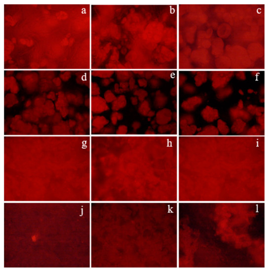 Evaluation of Starch–Protein Interactions as a Function of pH
