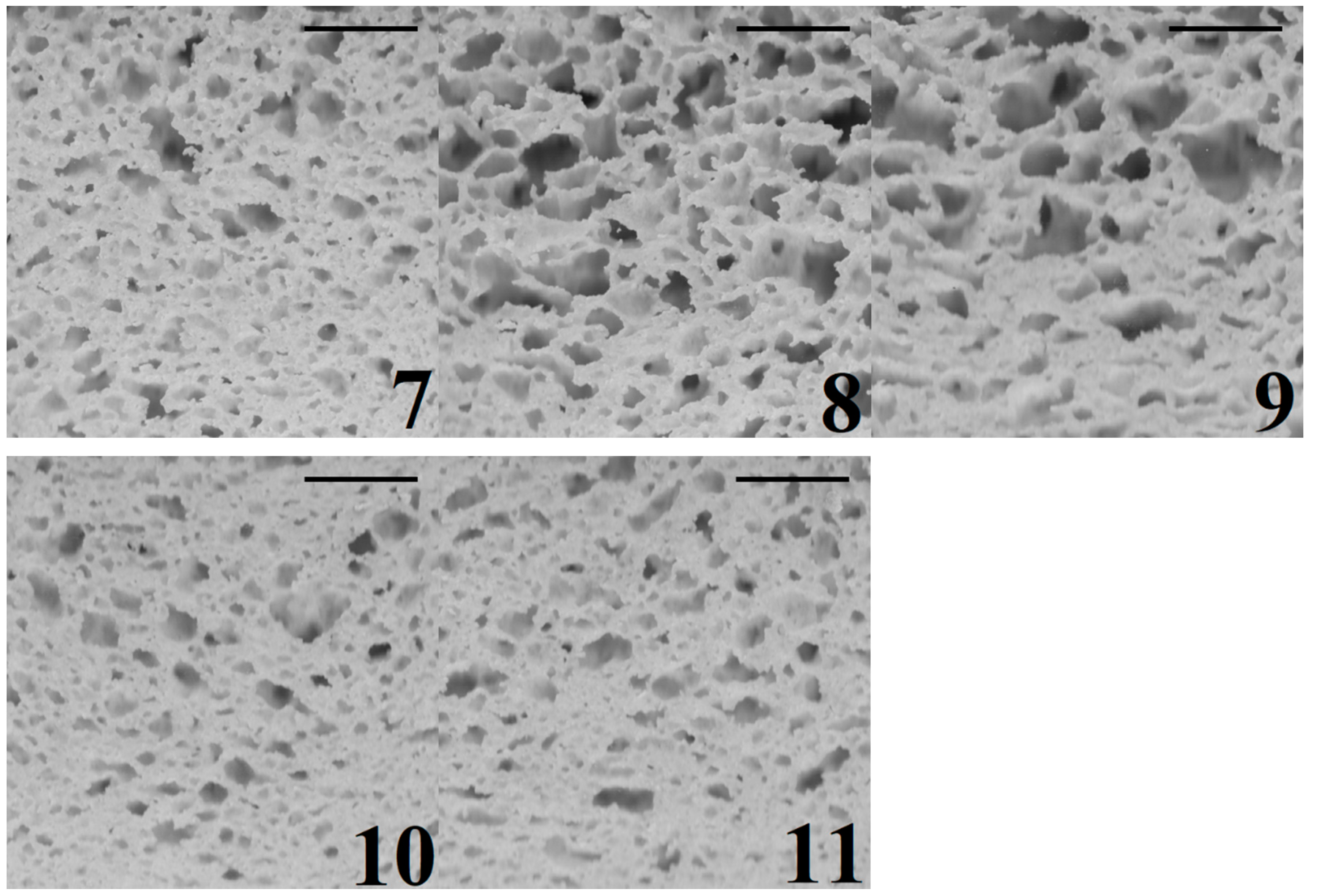 Foods 08 00156 g004b