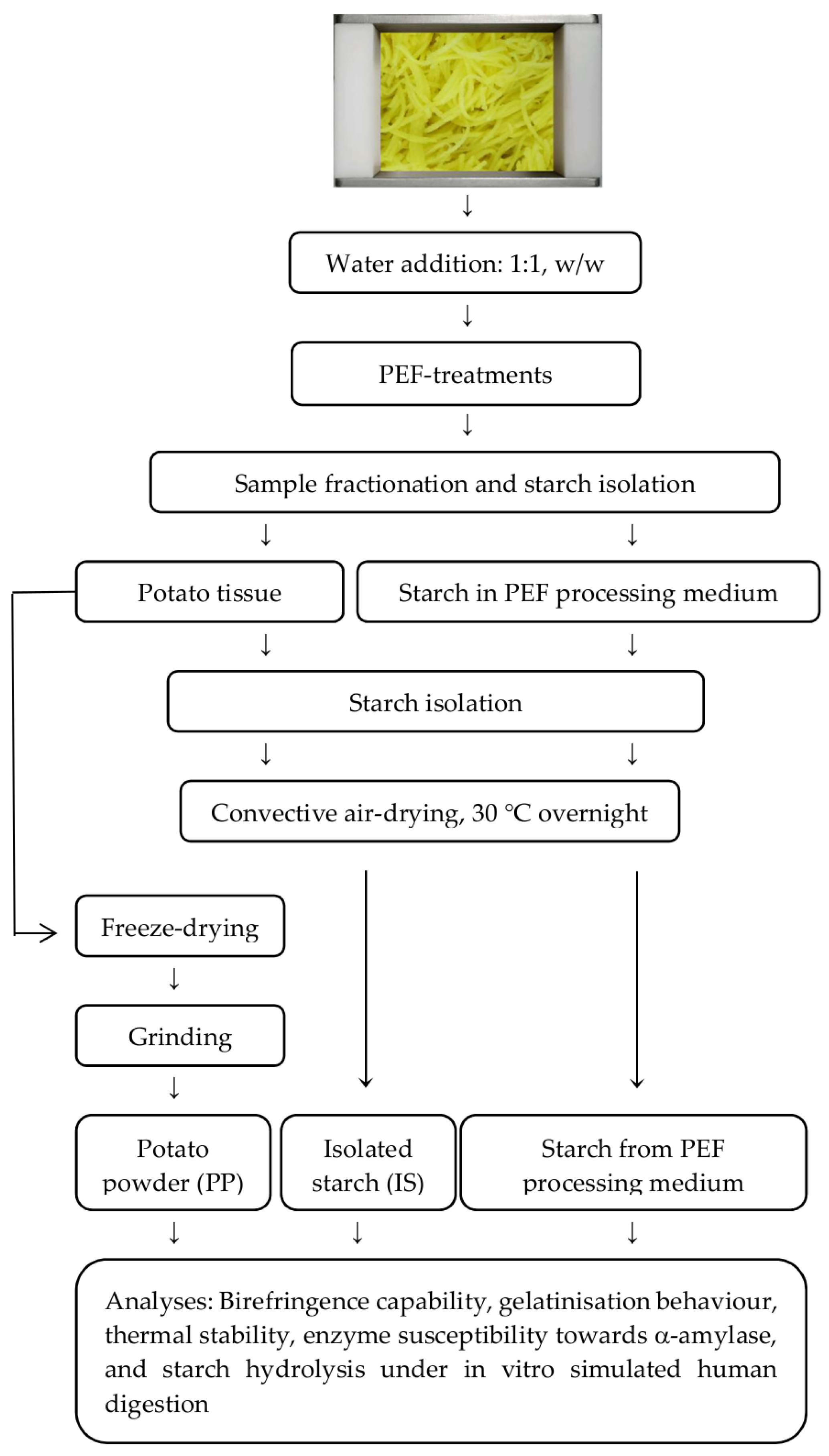 Foods 08 00159 g001 550
