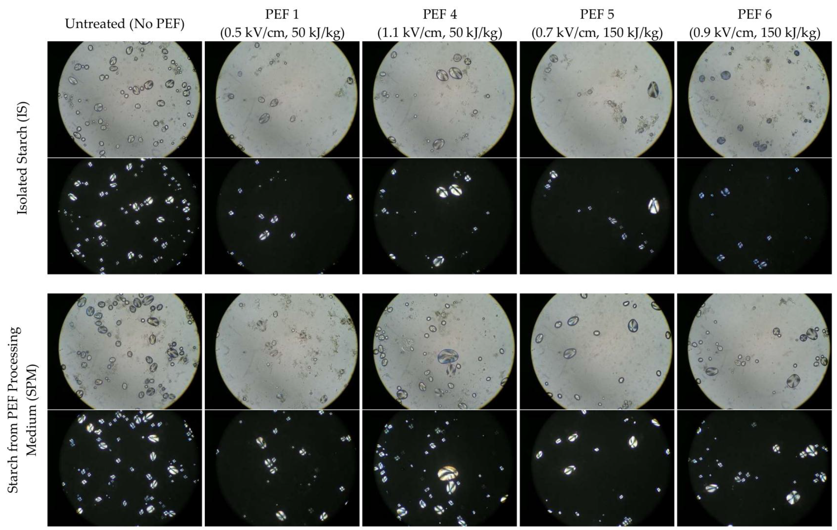 Foods 08 00159 g002 550