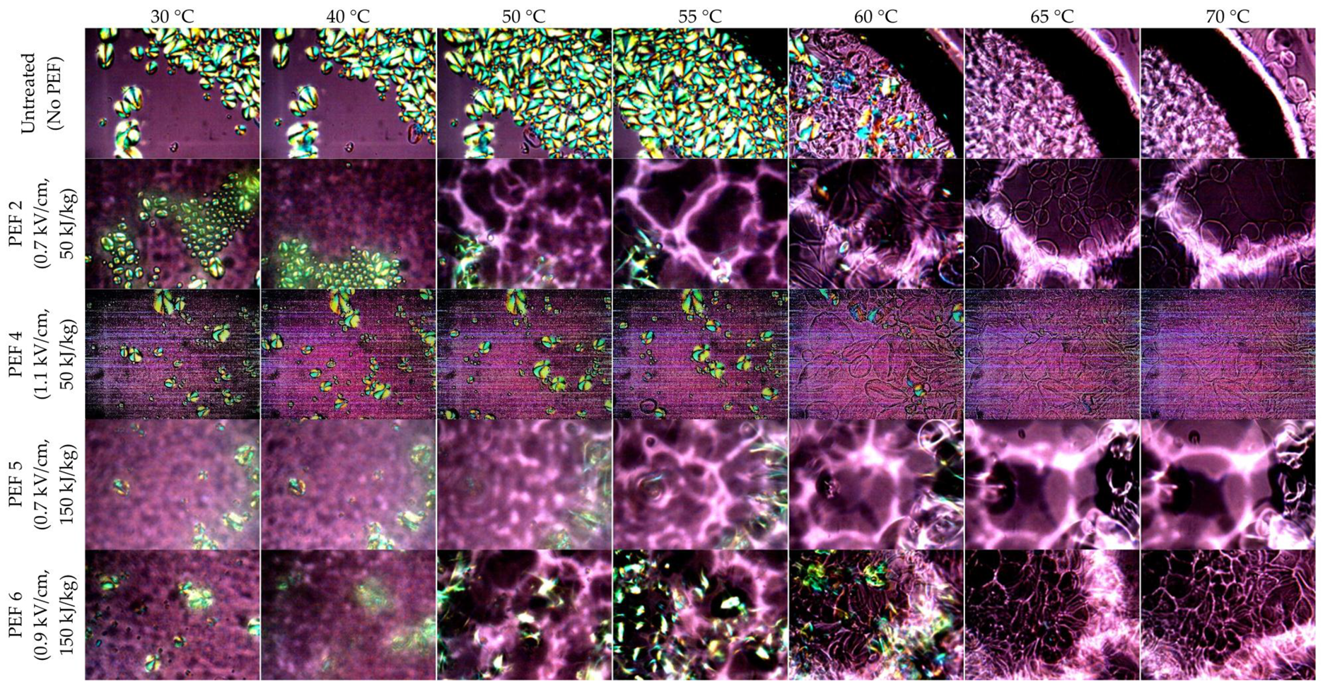 Foods 08 00159 g003 550