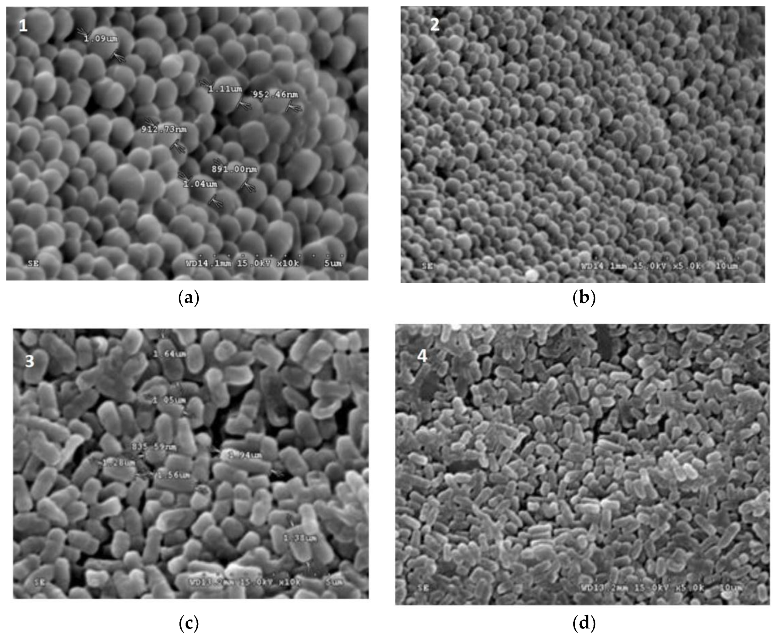 Foods 08 00175 g001 Foods 08 00175 g001