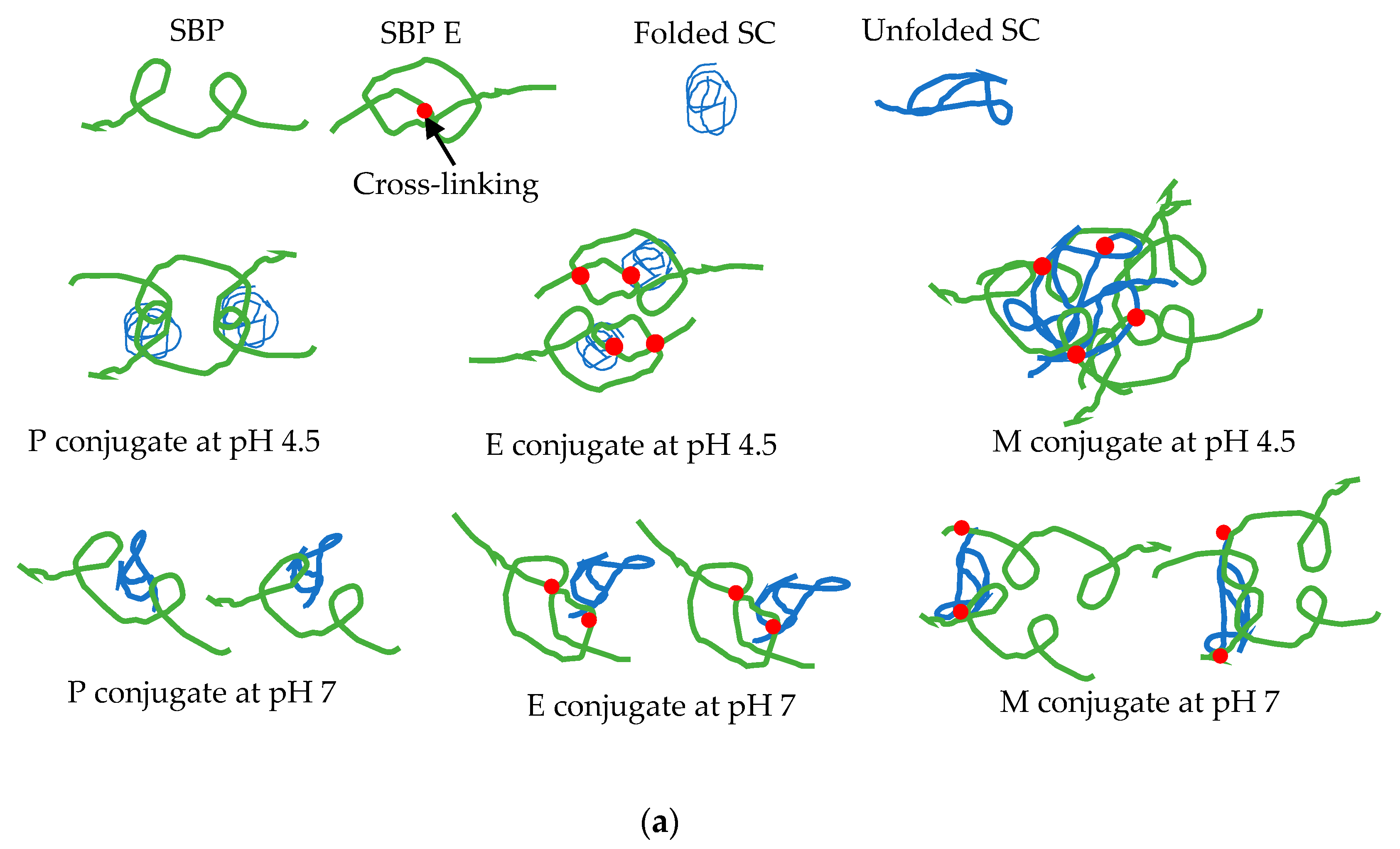 Foods 08 00192 g005a