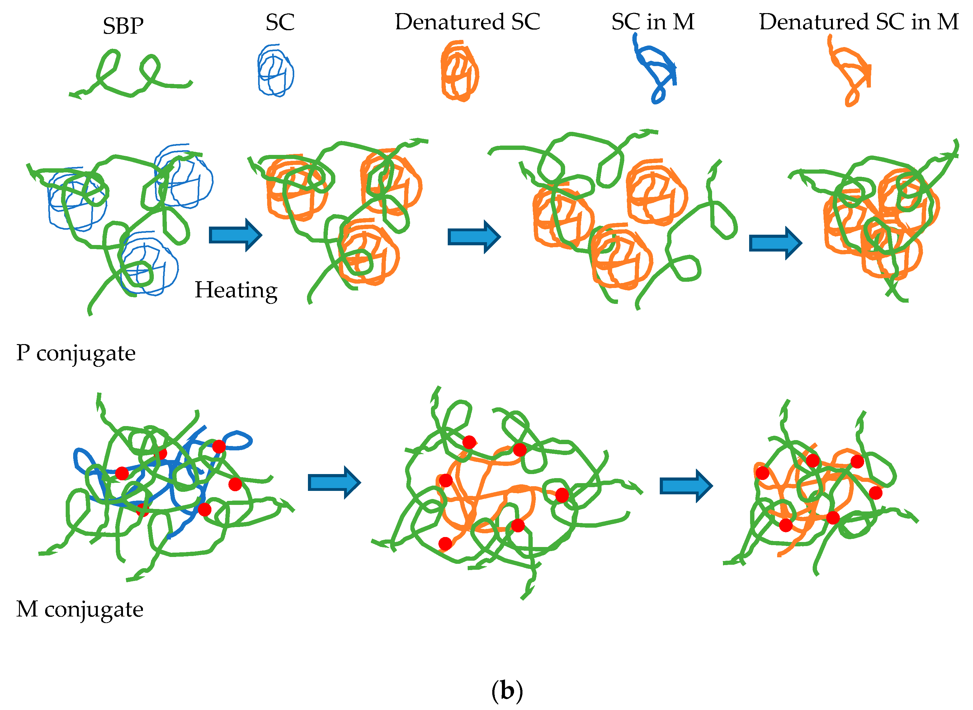 Foods 08 00192 g005b