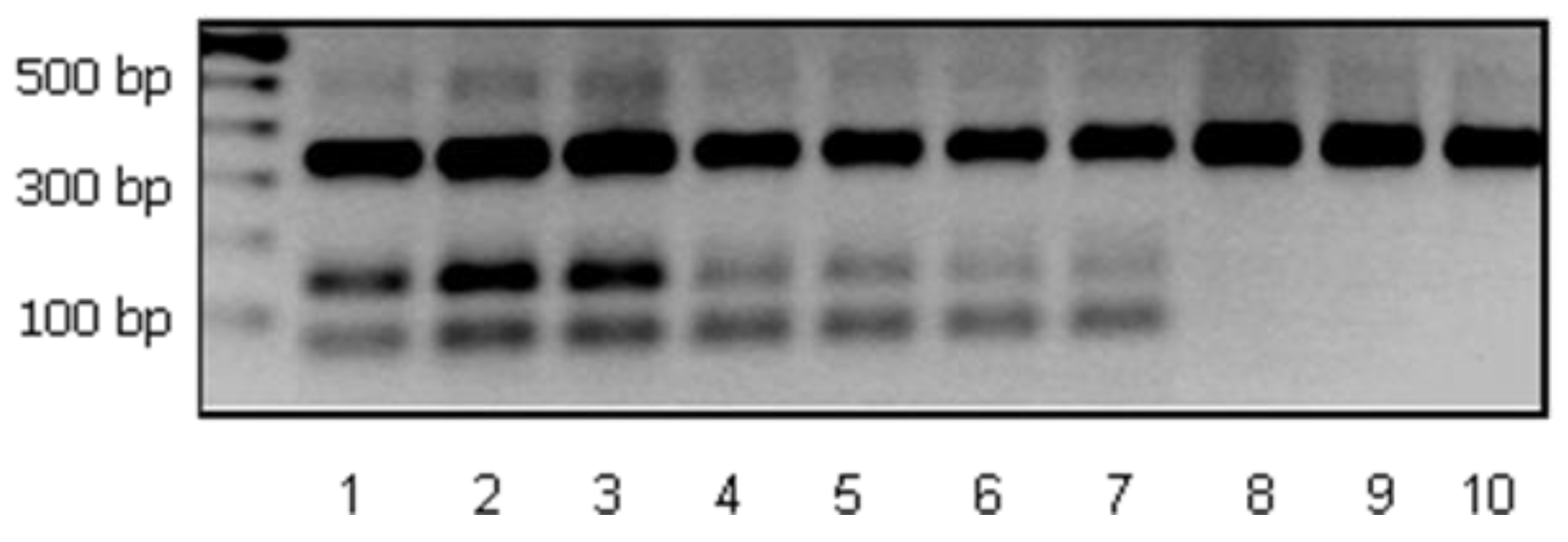 Foods 08 00219 g003 550