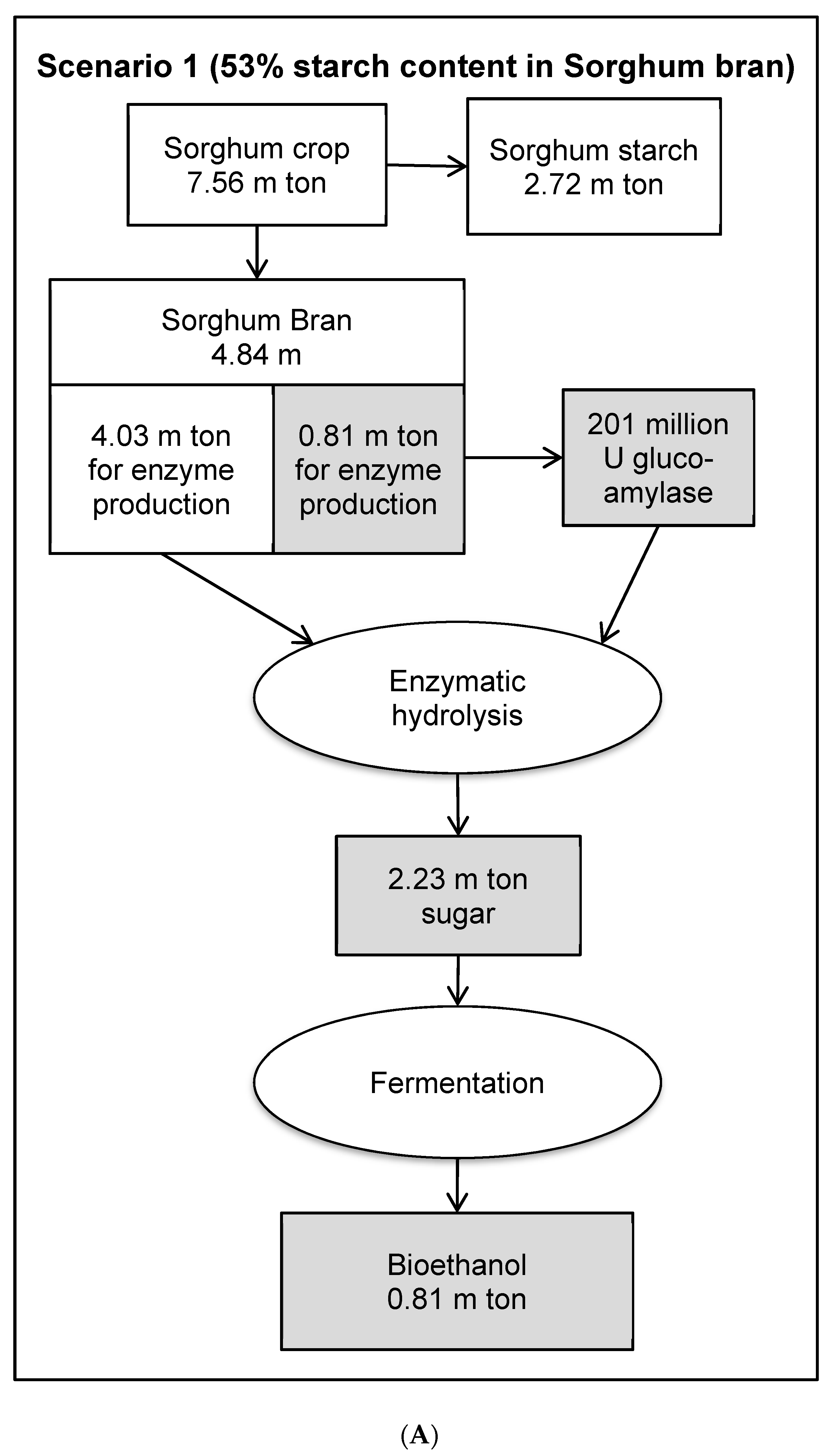 Foods 08 00279 g007a