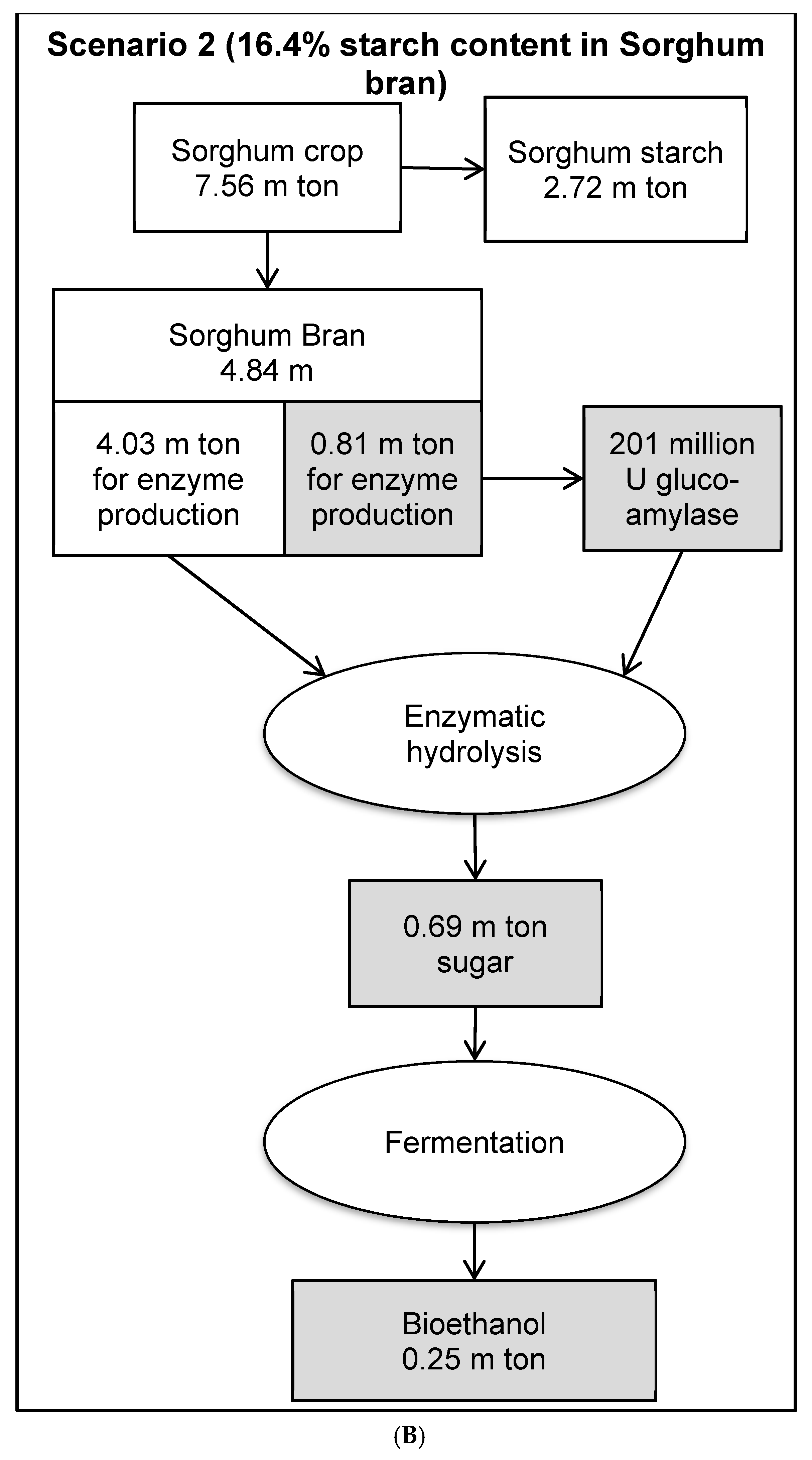 Foods 08 00279 g007b