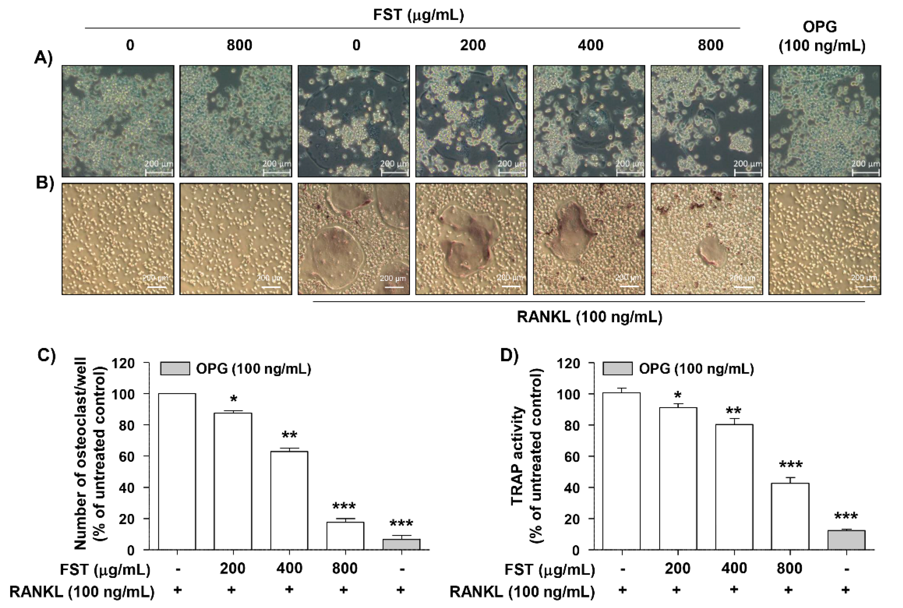 Foods 08 00290 g002 Foods 08 00290 g002