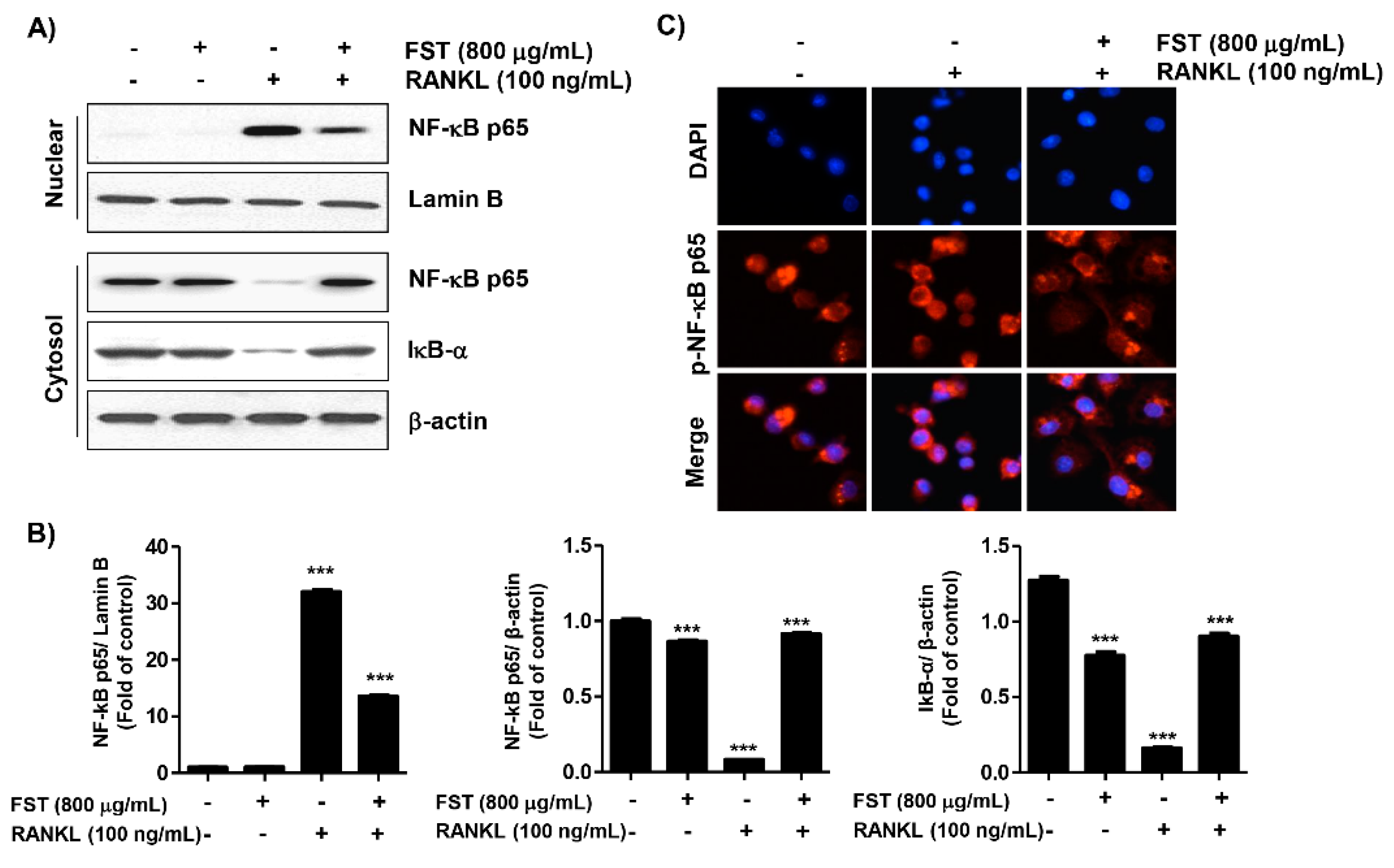 Foods 08 00290 g004 Foods 08 00290 g004