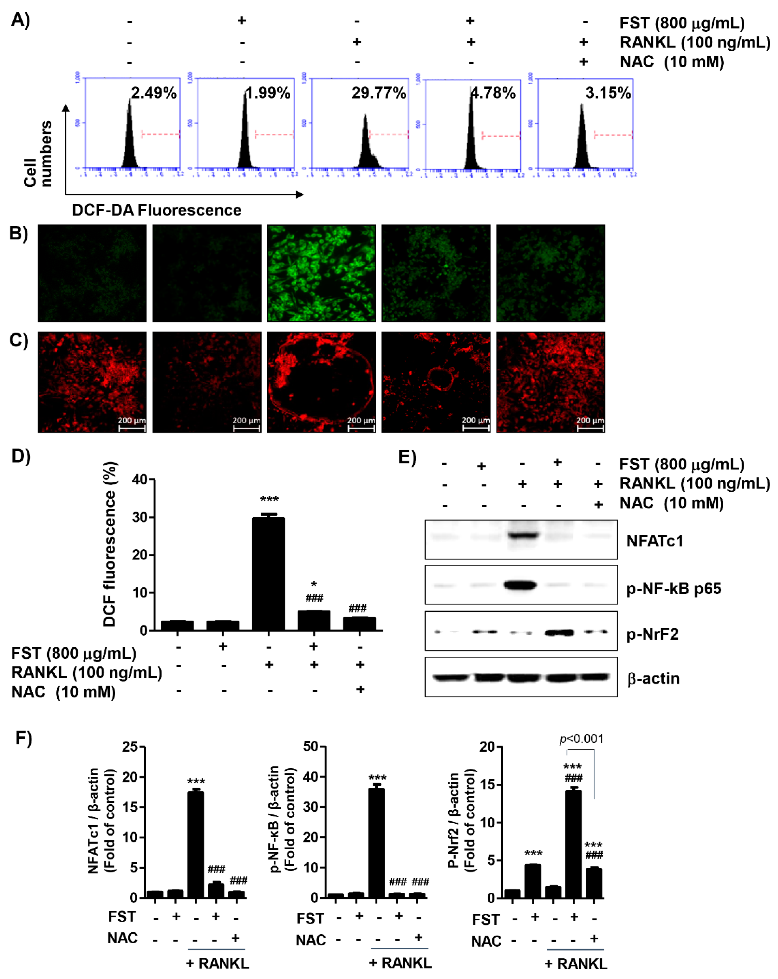 Foods 08 00290 g006 Foods 08 00290 g006