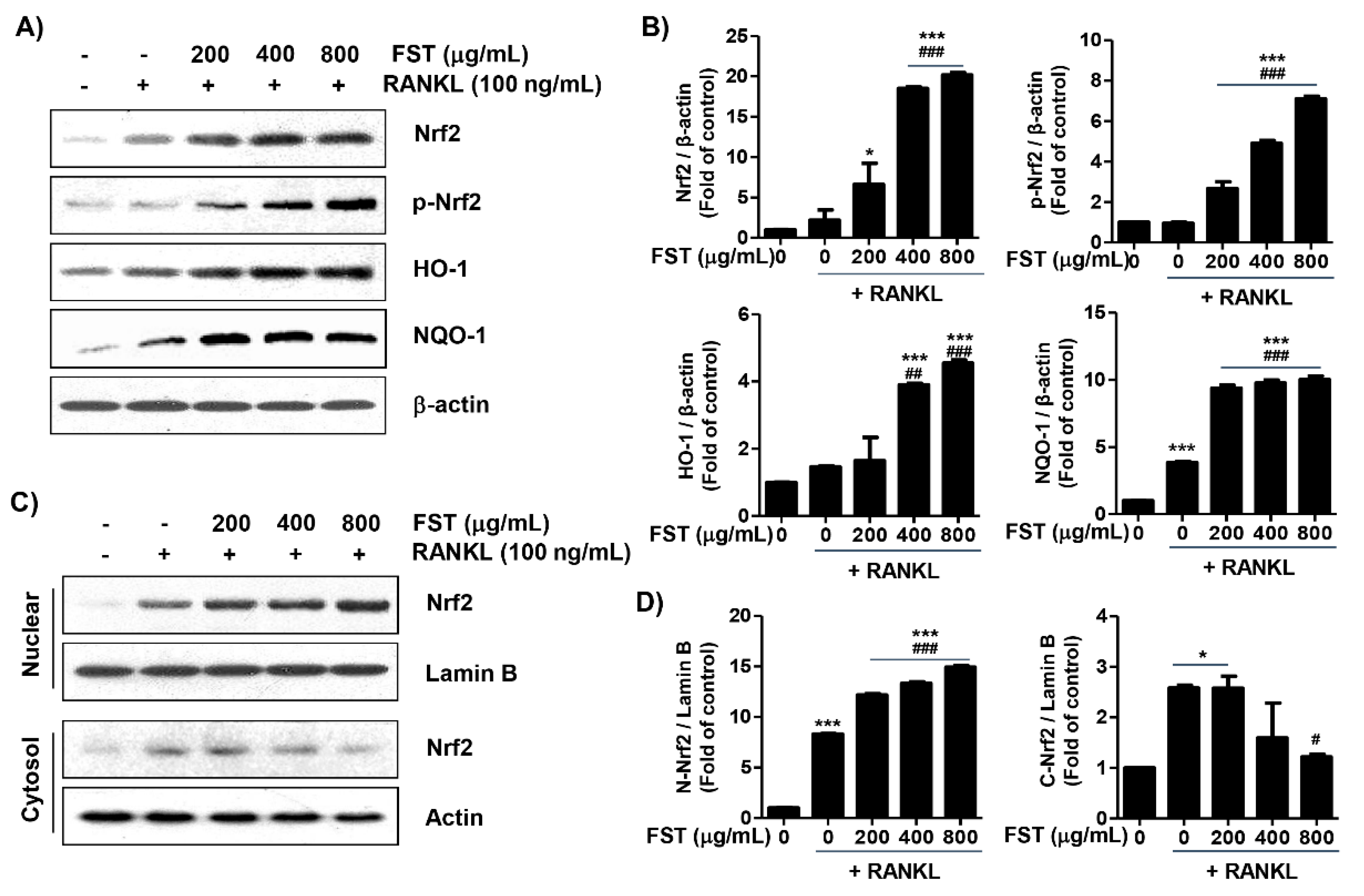 Foods 08 00290 g007 Foods 08 00290 g007