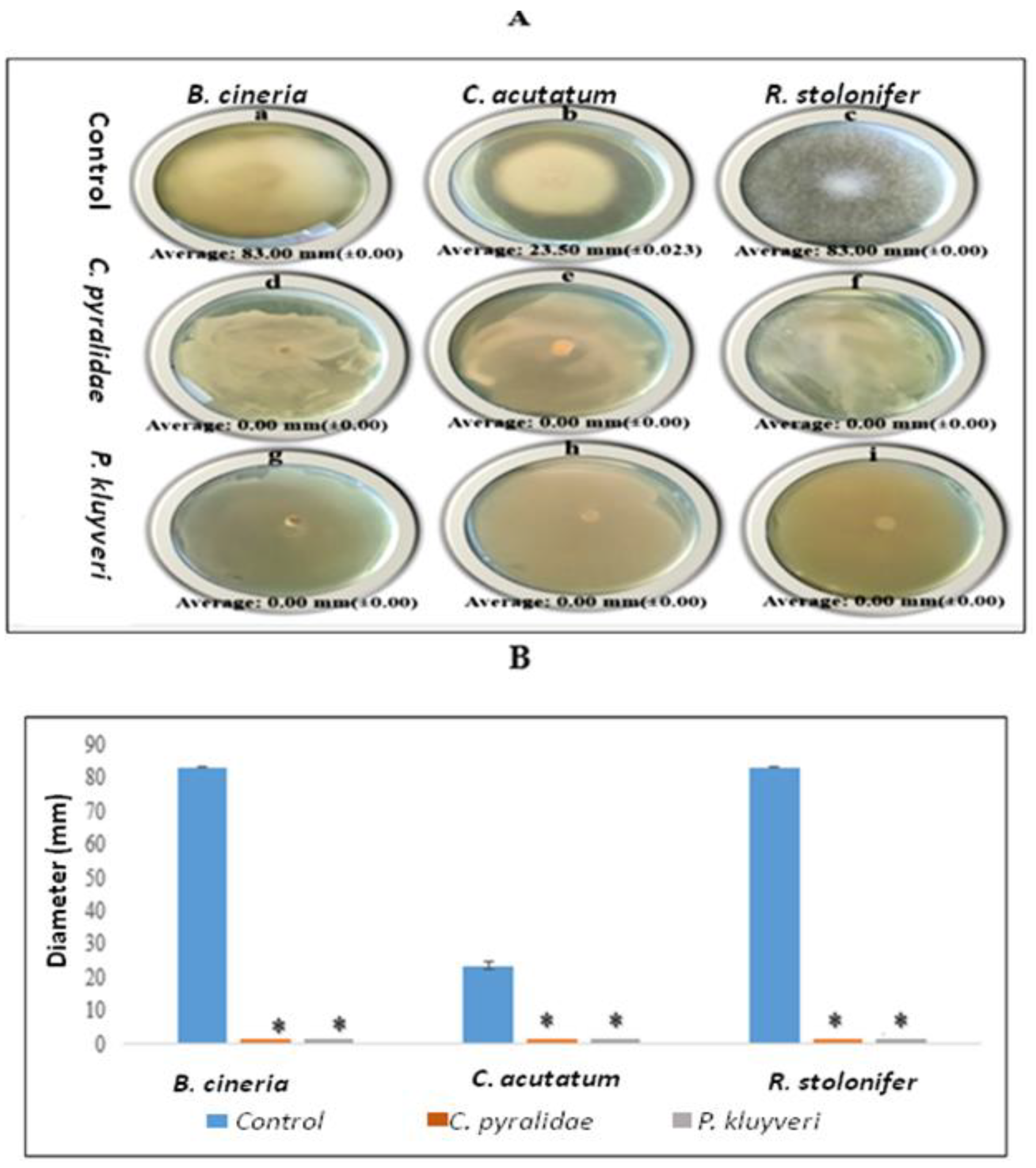 Foods Free Full Text The Use Of Candida Pyralidae And Pichia Kluyveri To Control Spoilage Microorganisms Of Raw Fruits Used For Beverage Production Html