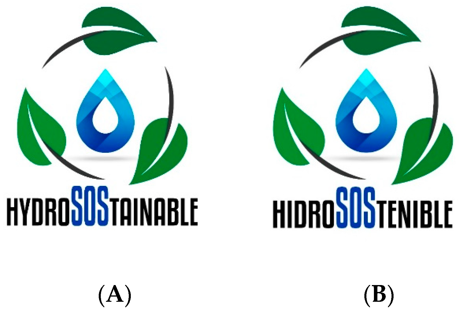 Foods Free Full Text Volatile Composition Sensory Profile And Consumer Acceptability Of Hydrosostainable Table Olives Html