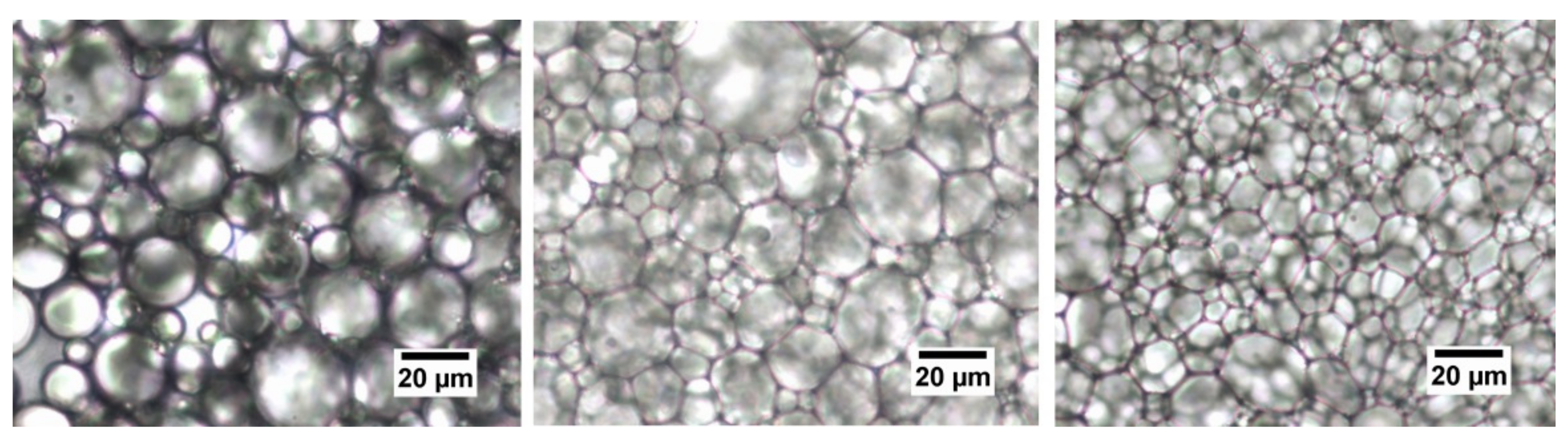 Foods 08 00483 g008 550