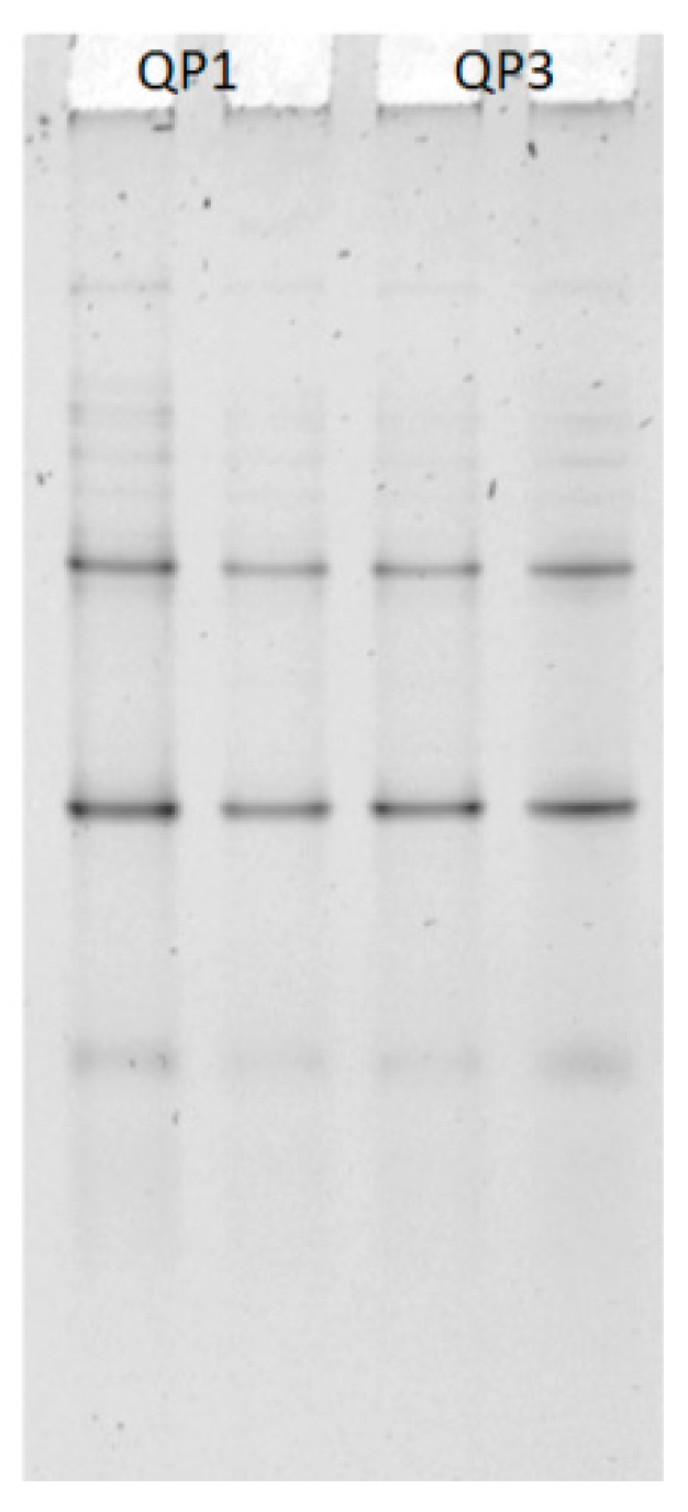 Foods 08 00509 g006 Foods 08 00509 g006