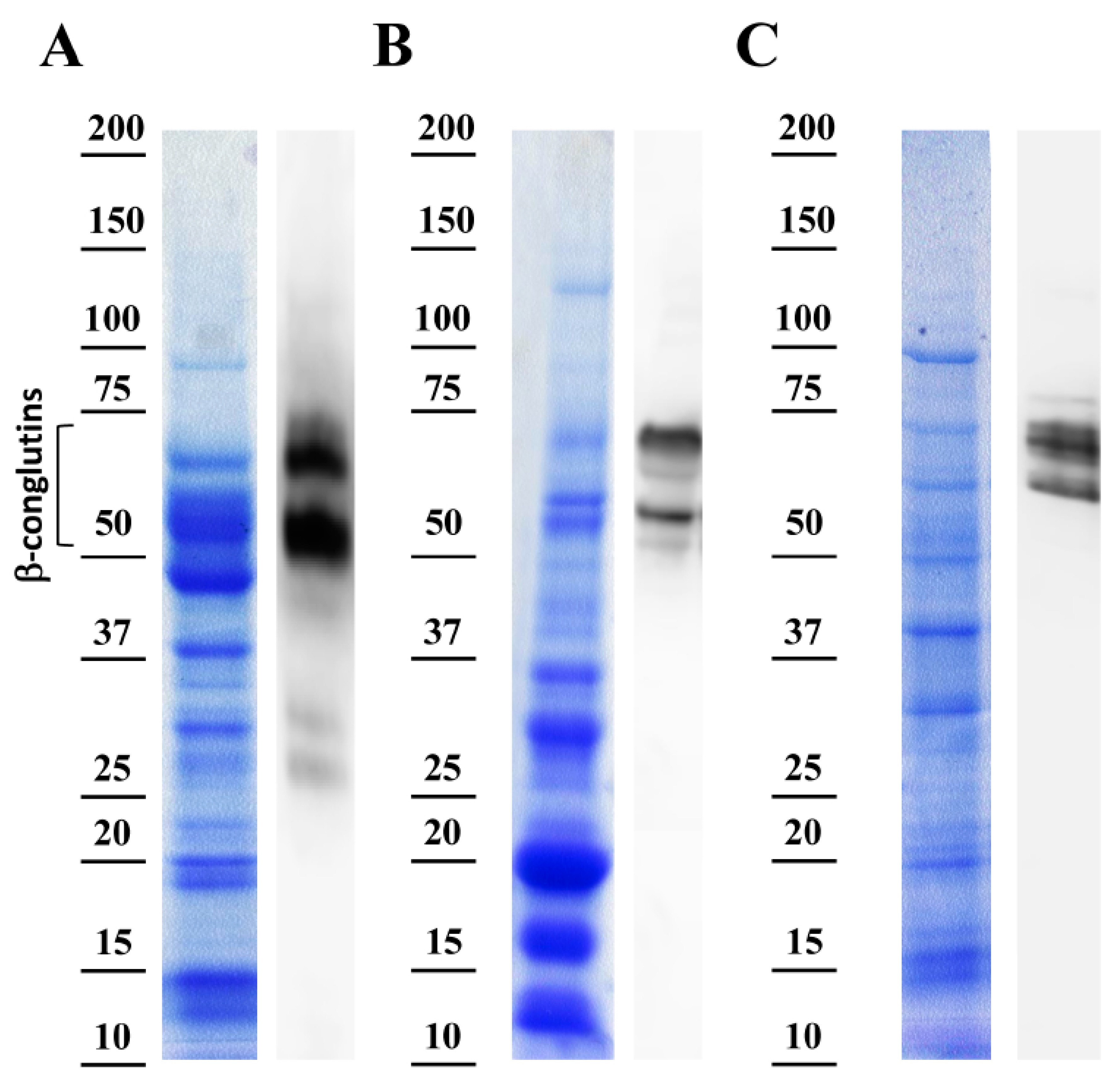 Foods 08 00513 g003 Foods 08 00513 g003