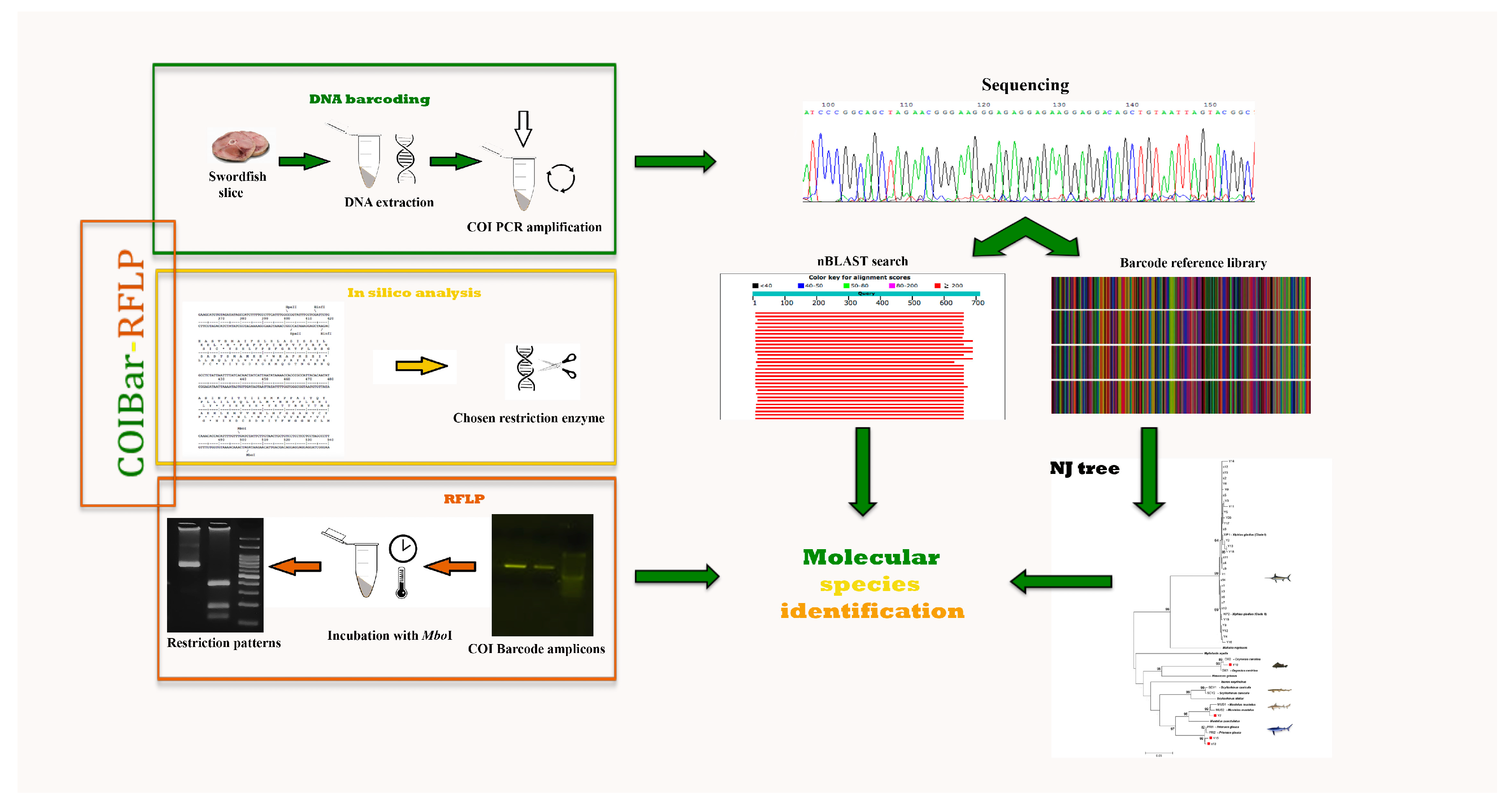 Invitrogen Restriction Enzyme Buffer Chart