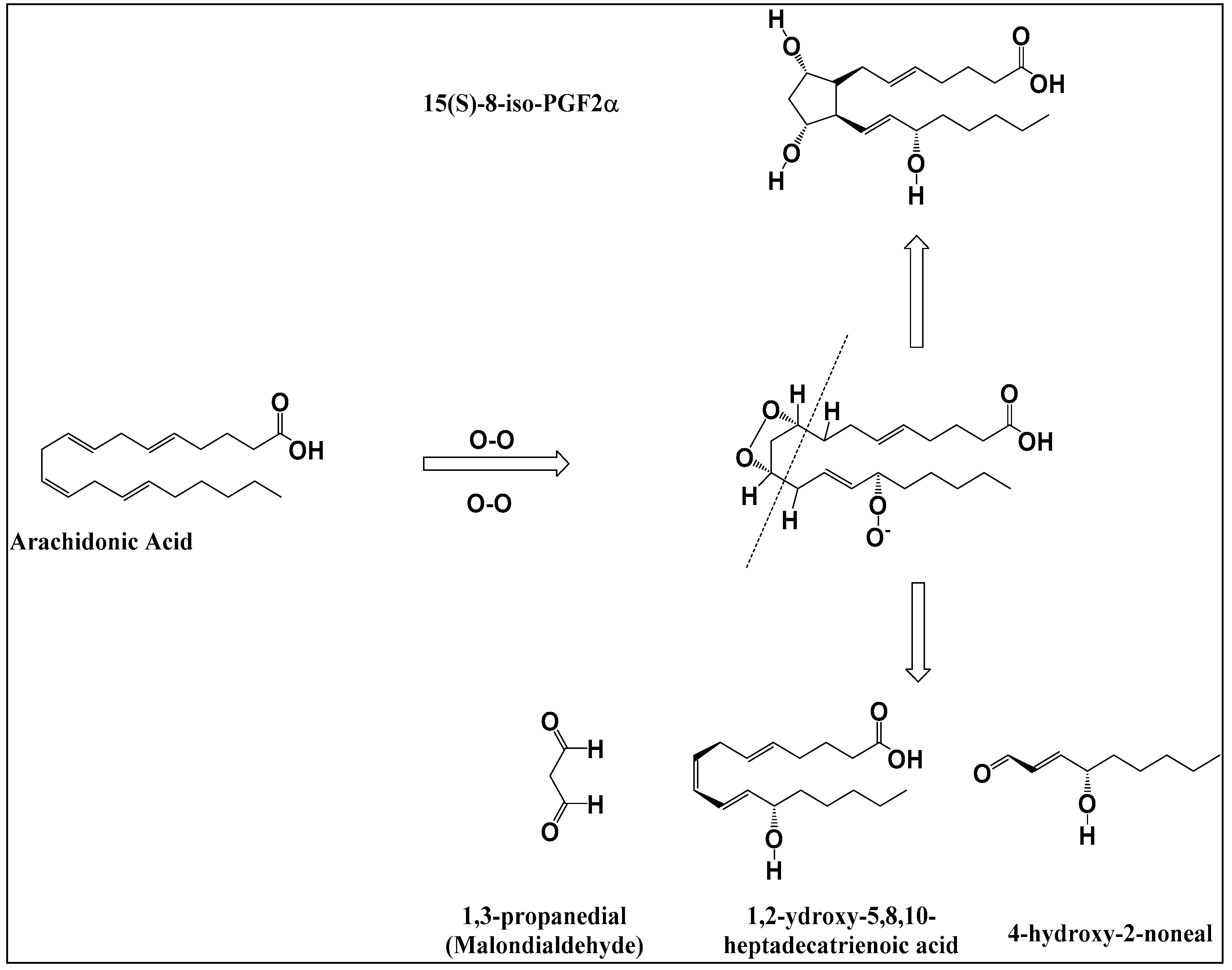 Foods 08 00595 sch001 Foods 08 00595 sch001