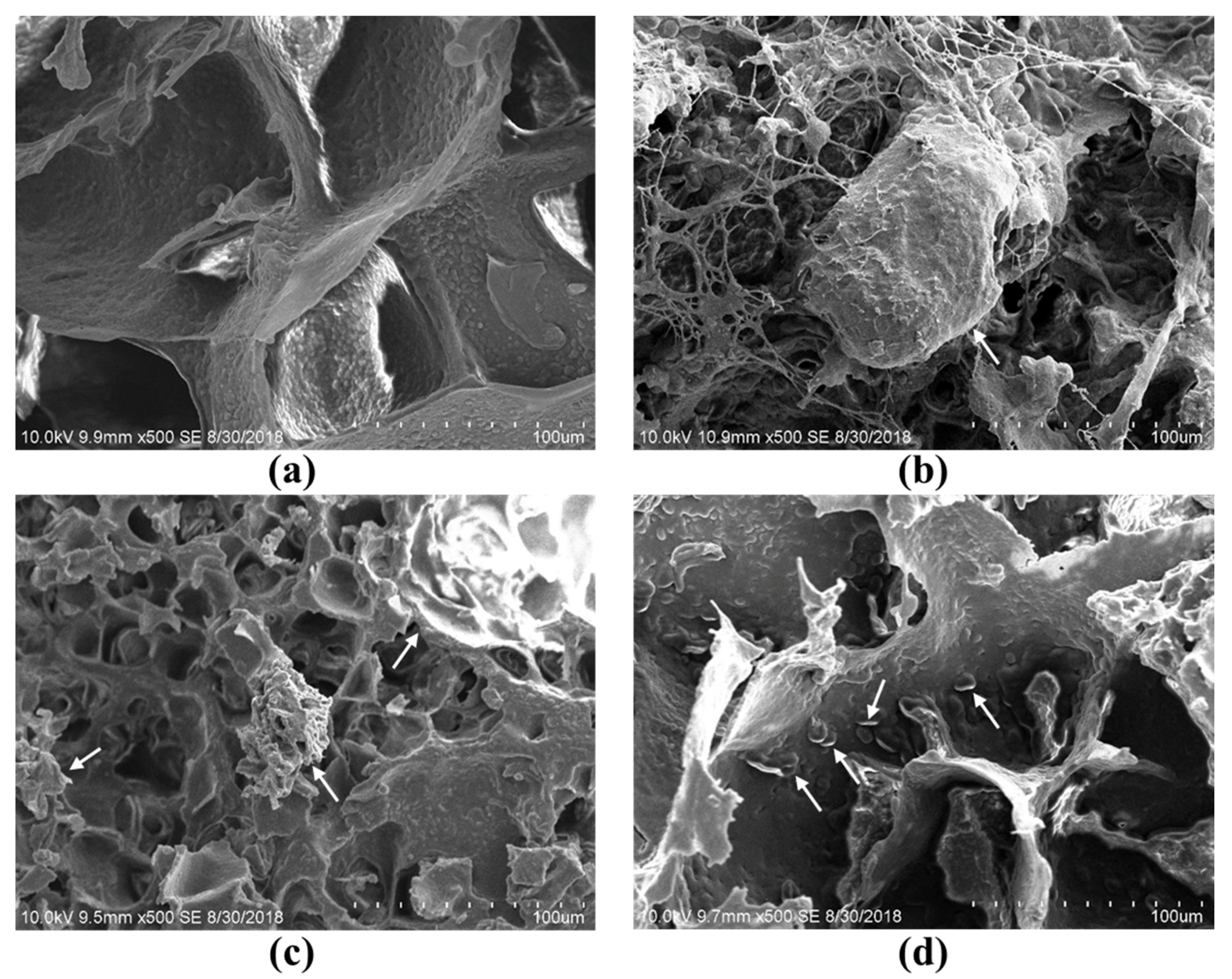 Foods 08 00617 g002 550