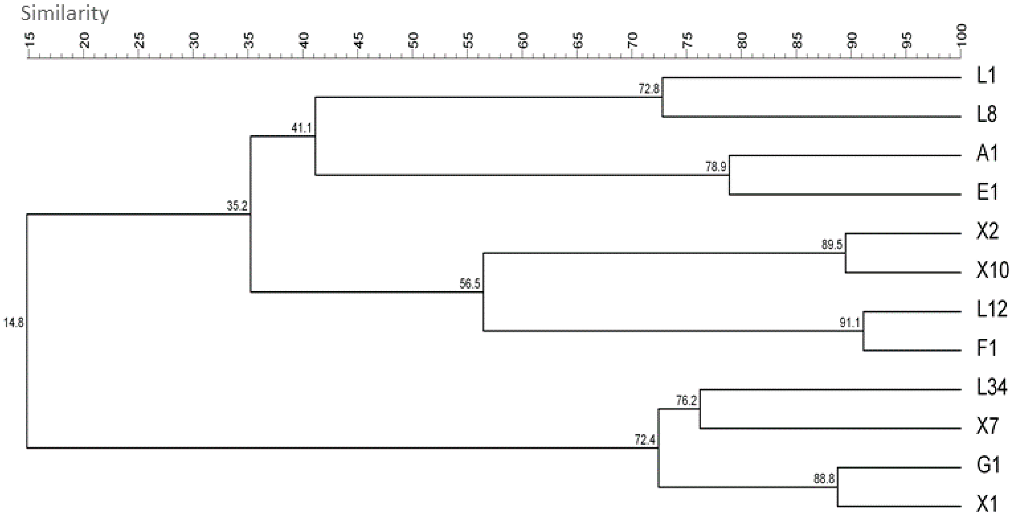 Foods 08 00647 g001 Foods 08 00647 g001
