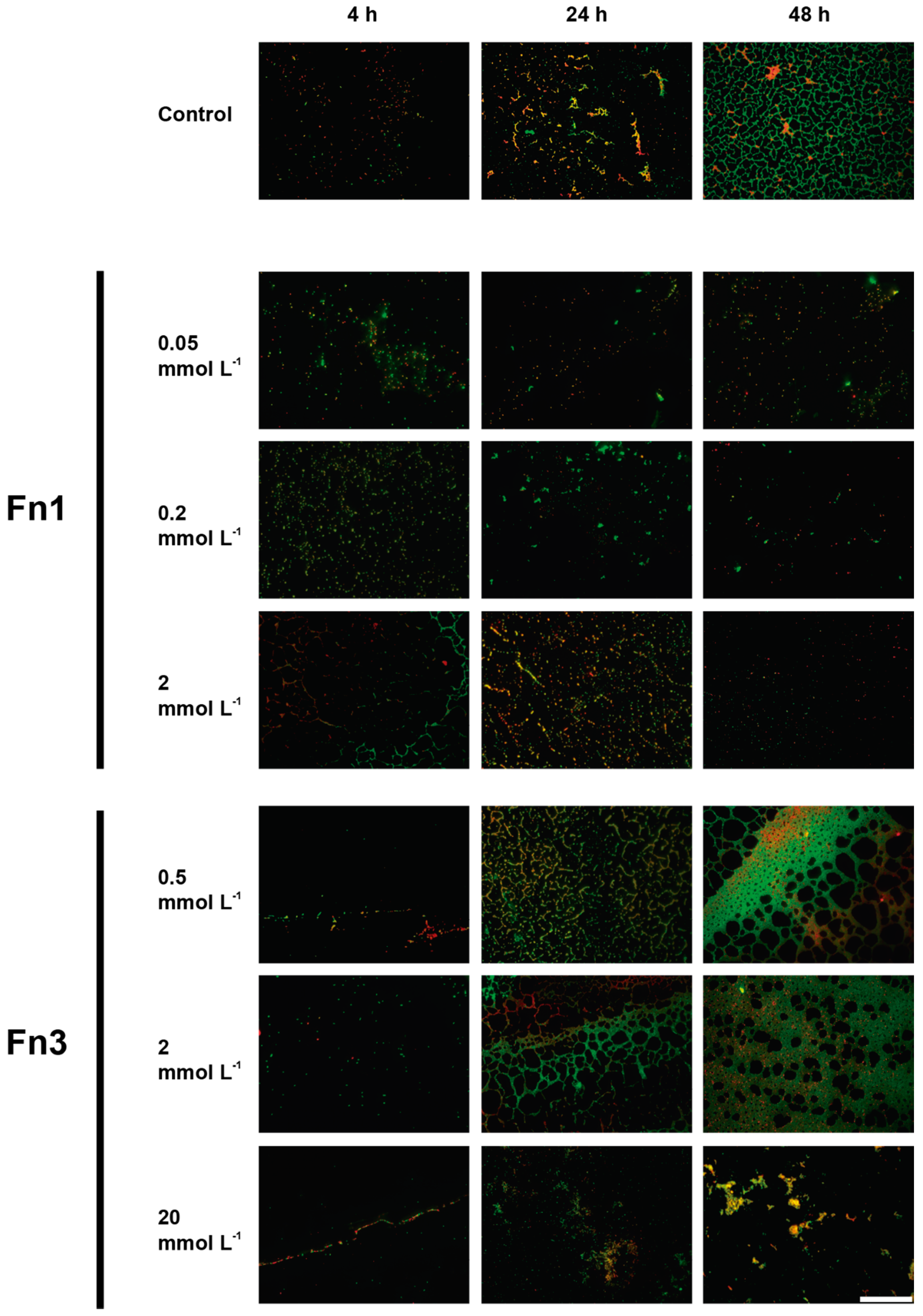 Foods 08 00647 g005 Foods 08 00647 g005