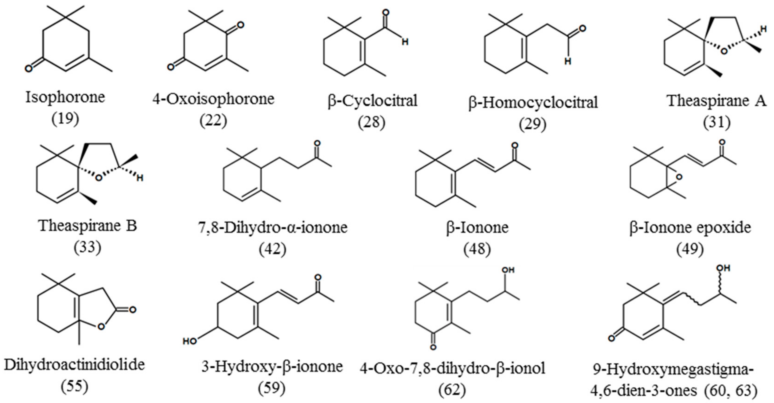 Foods 08 00659 g001 Foods 08 00659 g001
