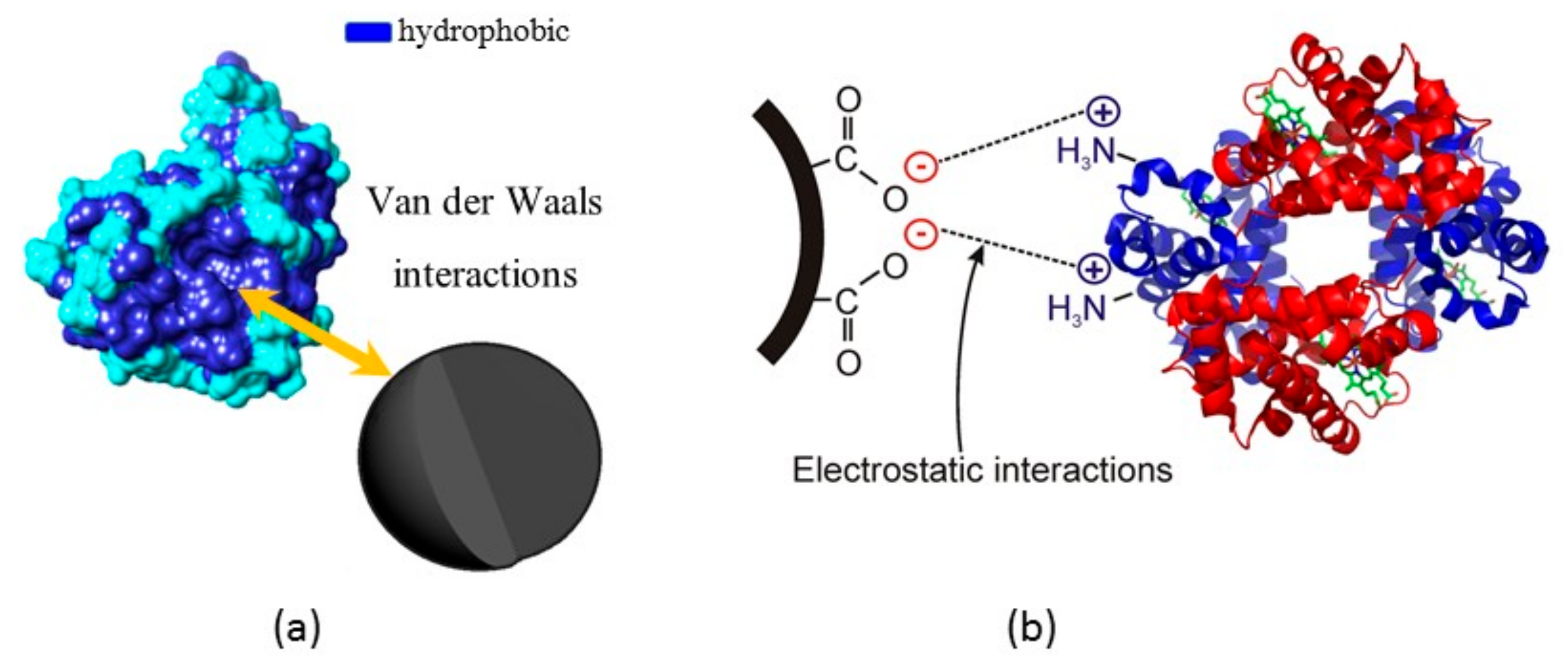 Foods 09 00001 g003 Foods 09 00001 g003