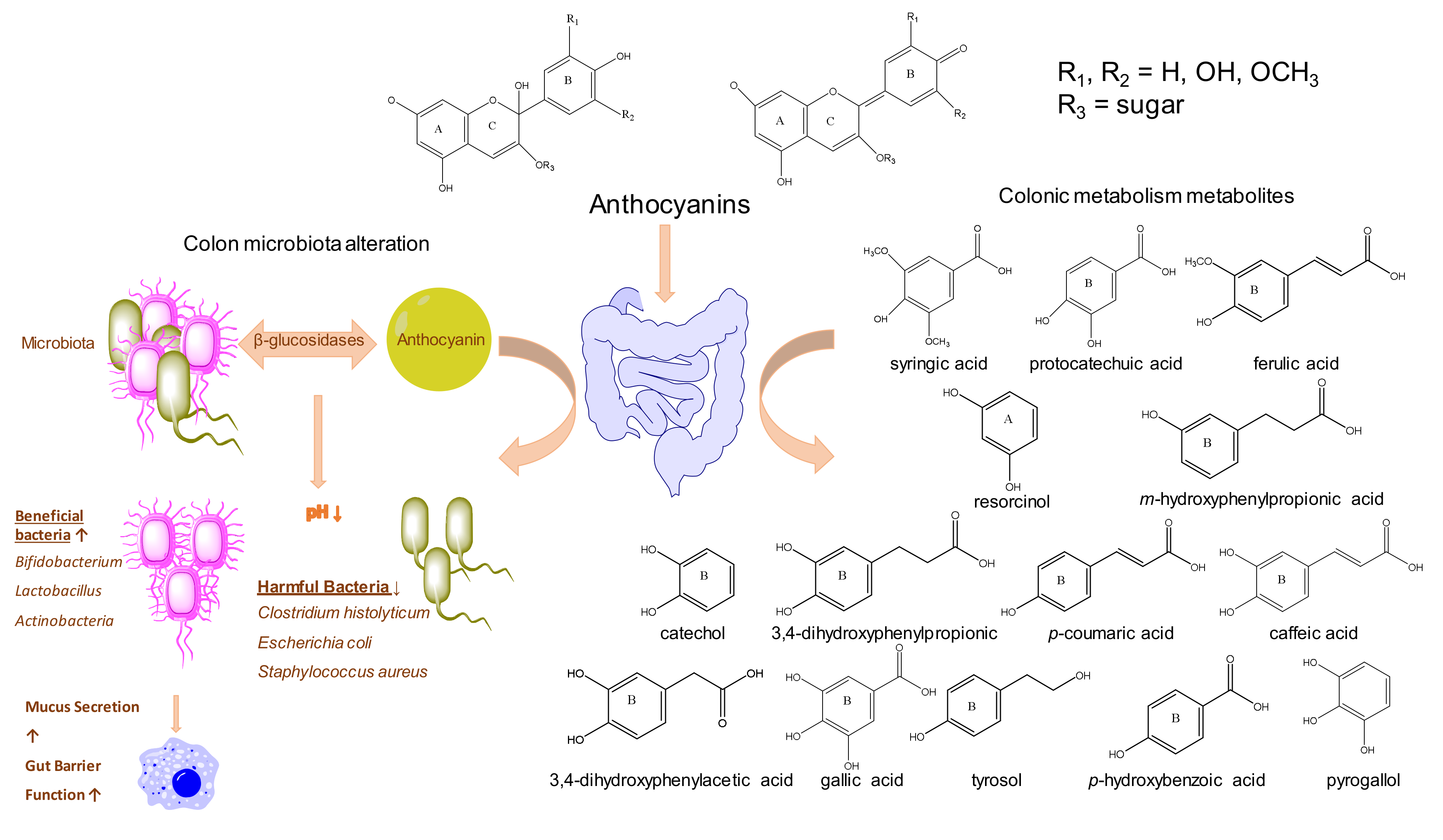 Foods 09 00002 g002 Foods 09 00002 g002