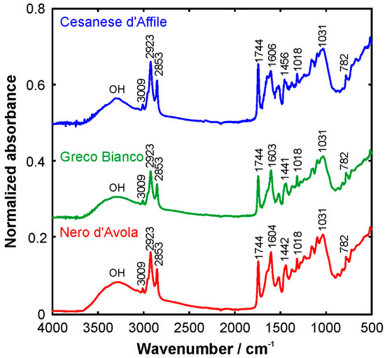 Grape Seeds: Chromatographic Profile of Fatty Acids and