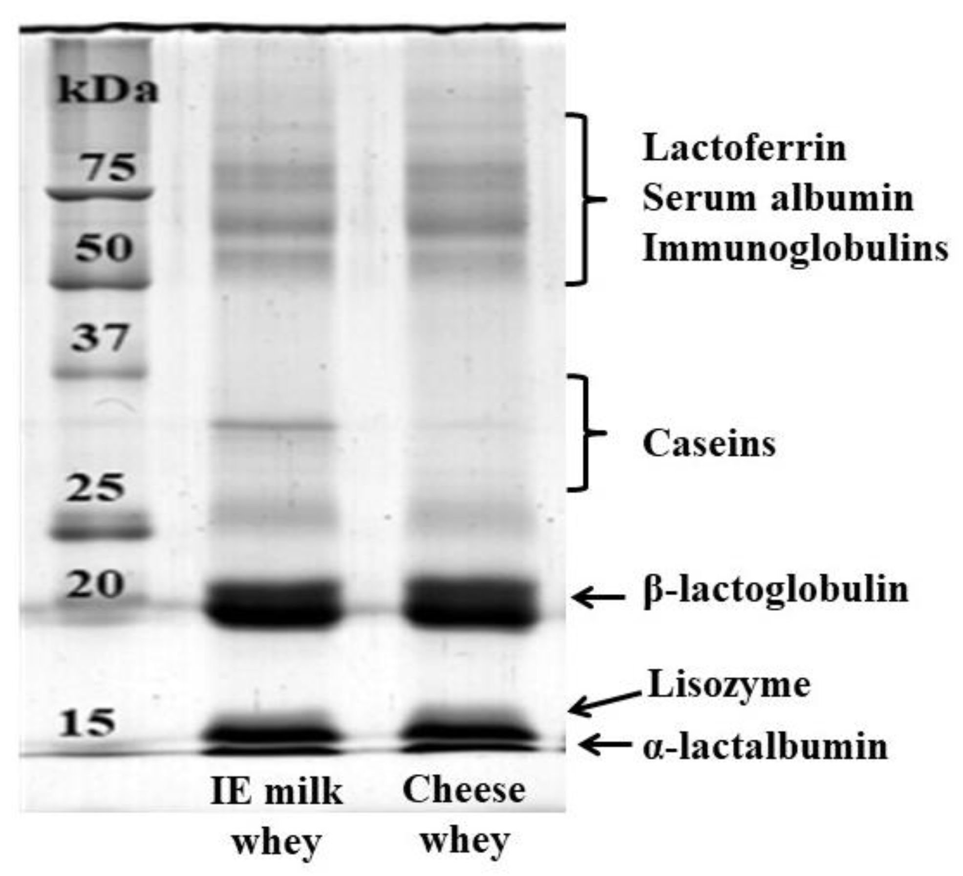 Foods 09 00016 g004 Foods 09 00016 g004
