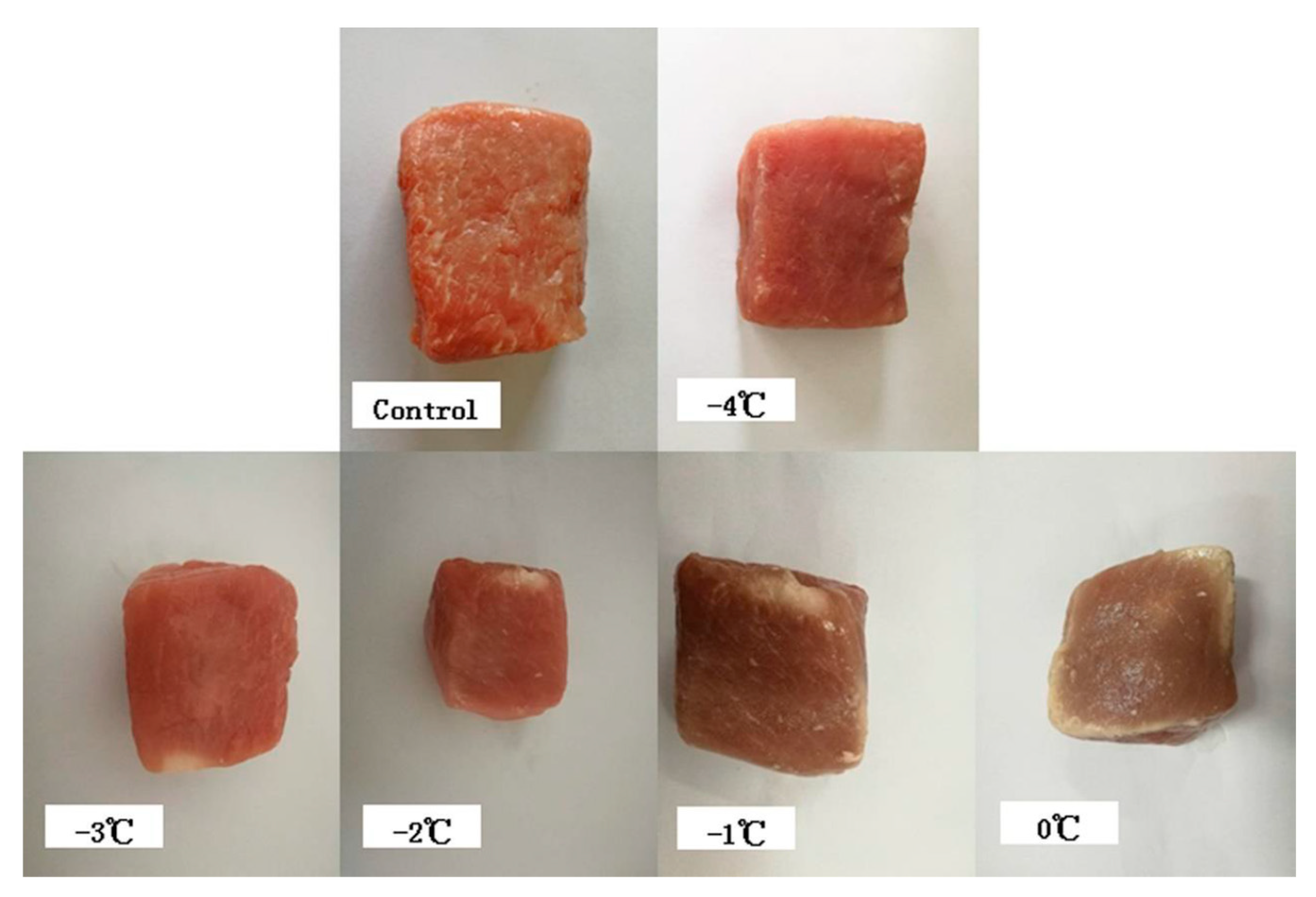 Foods Free FullText Physicochemical Properties and Protein
