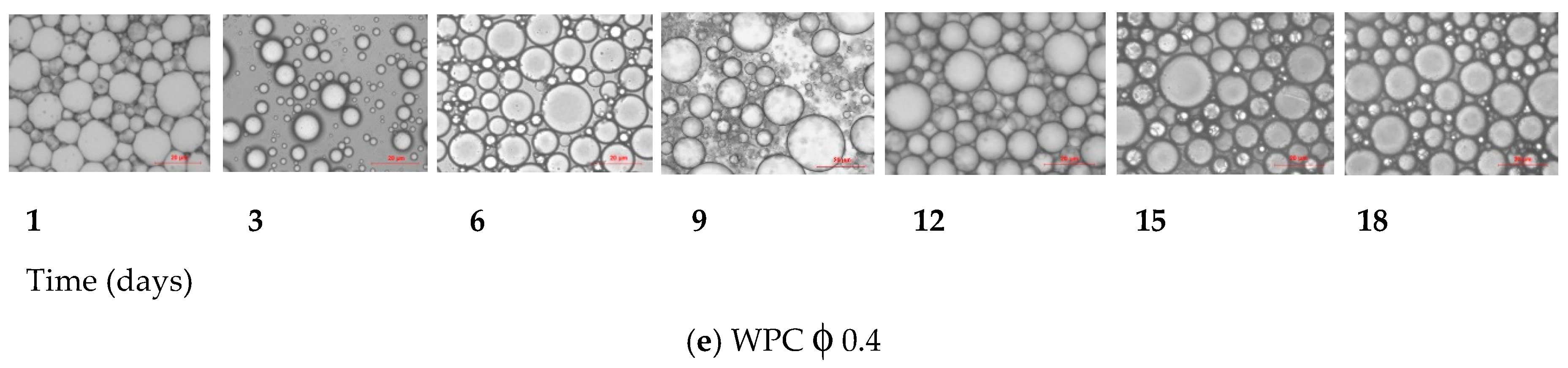 Foods 09 00029 g007b