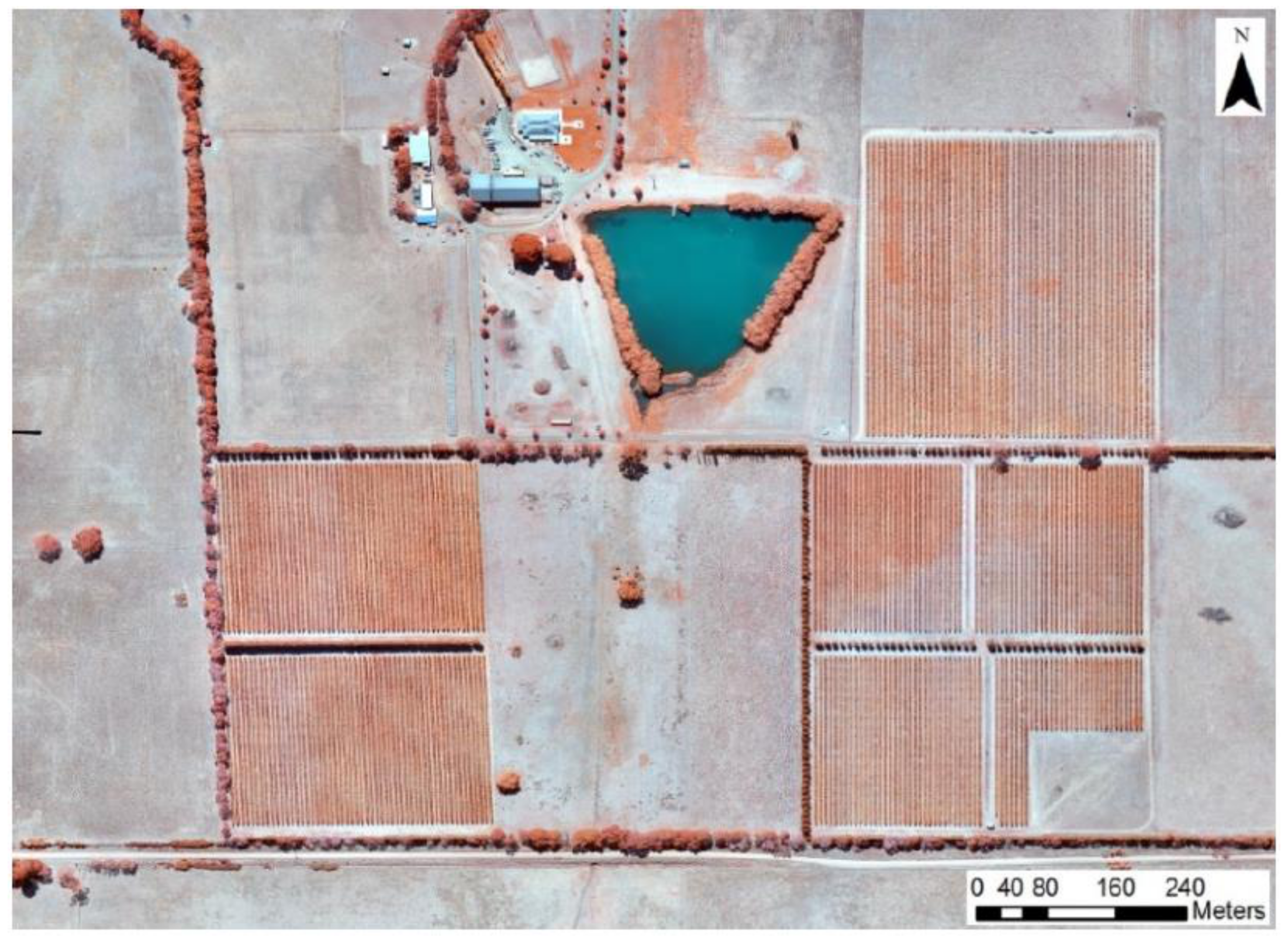 Foods 09 00033 g001 Foods 09 00033 g001