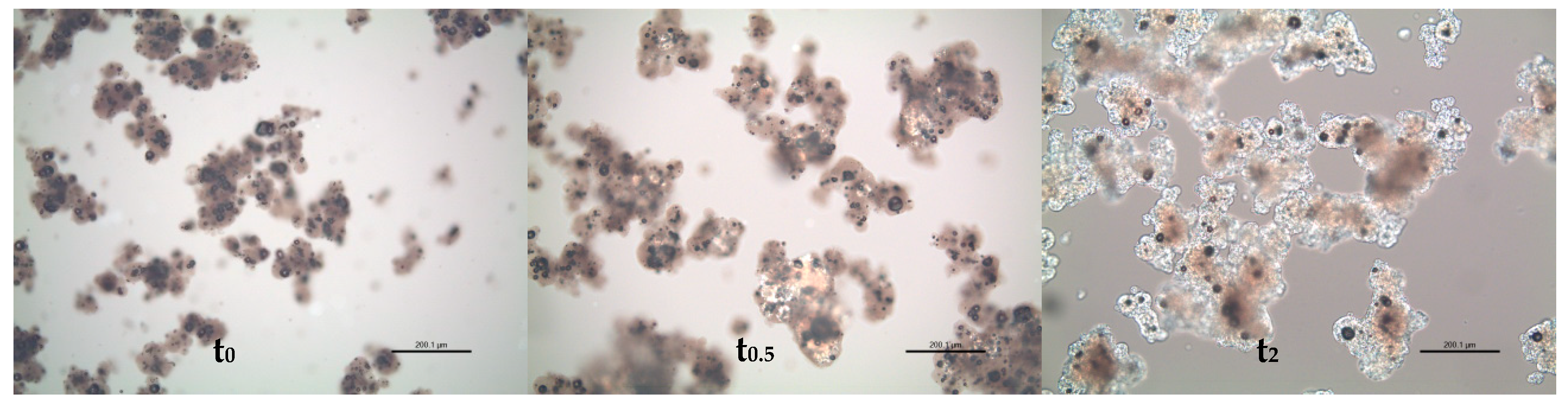 Foods 09 00084 g002 Foods 09 00084 g002