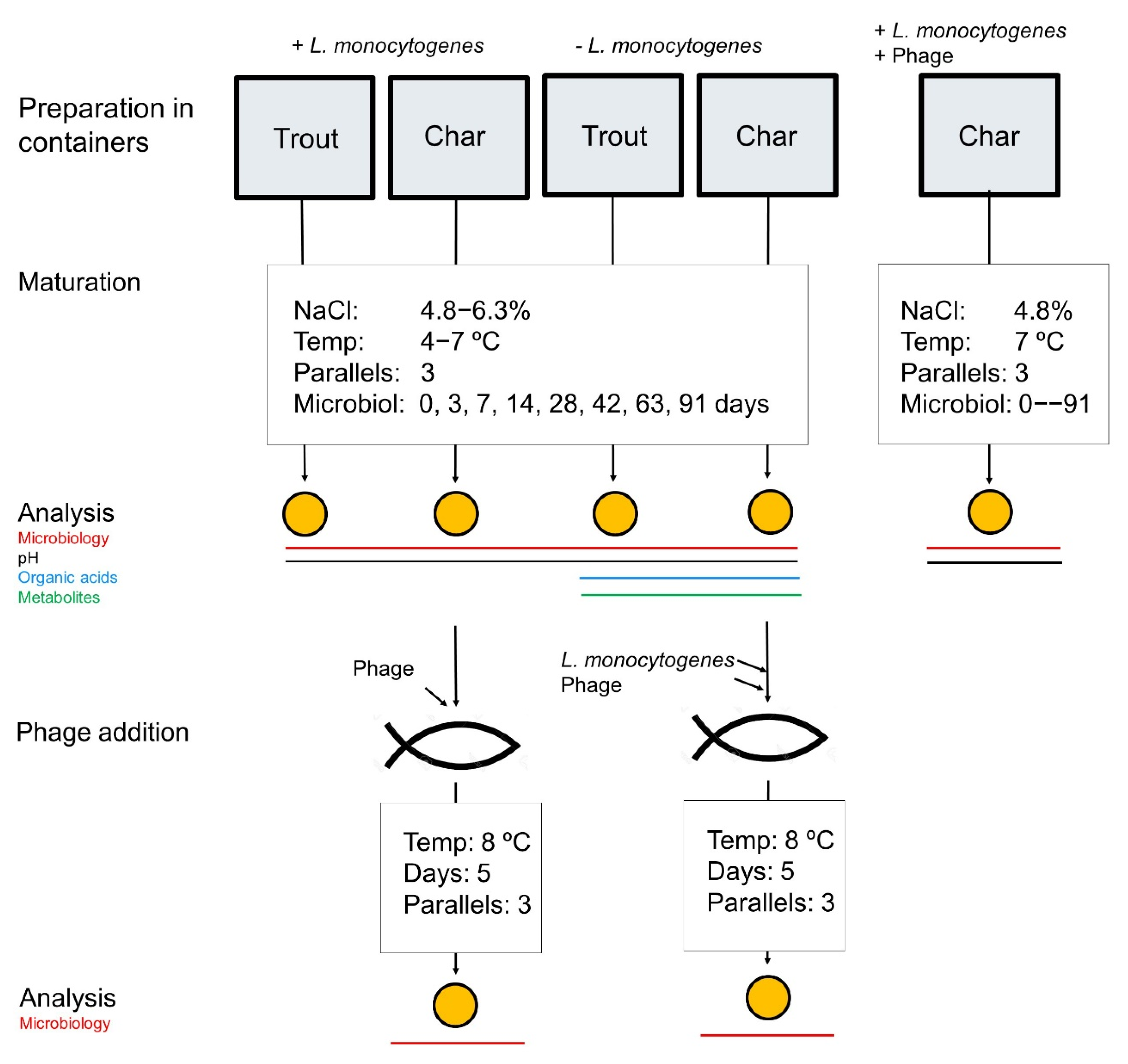 Foods Free Full Text Growth Behavior Of Listeria Monocytogenes In A Traditional Norwegian Fermented Fish Product Rakfisk And Its Inhibition Through Bacteriophage Addition Html