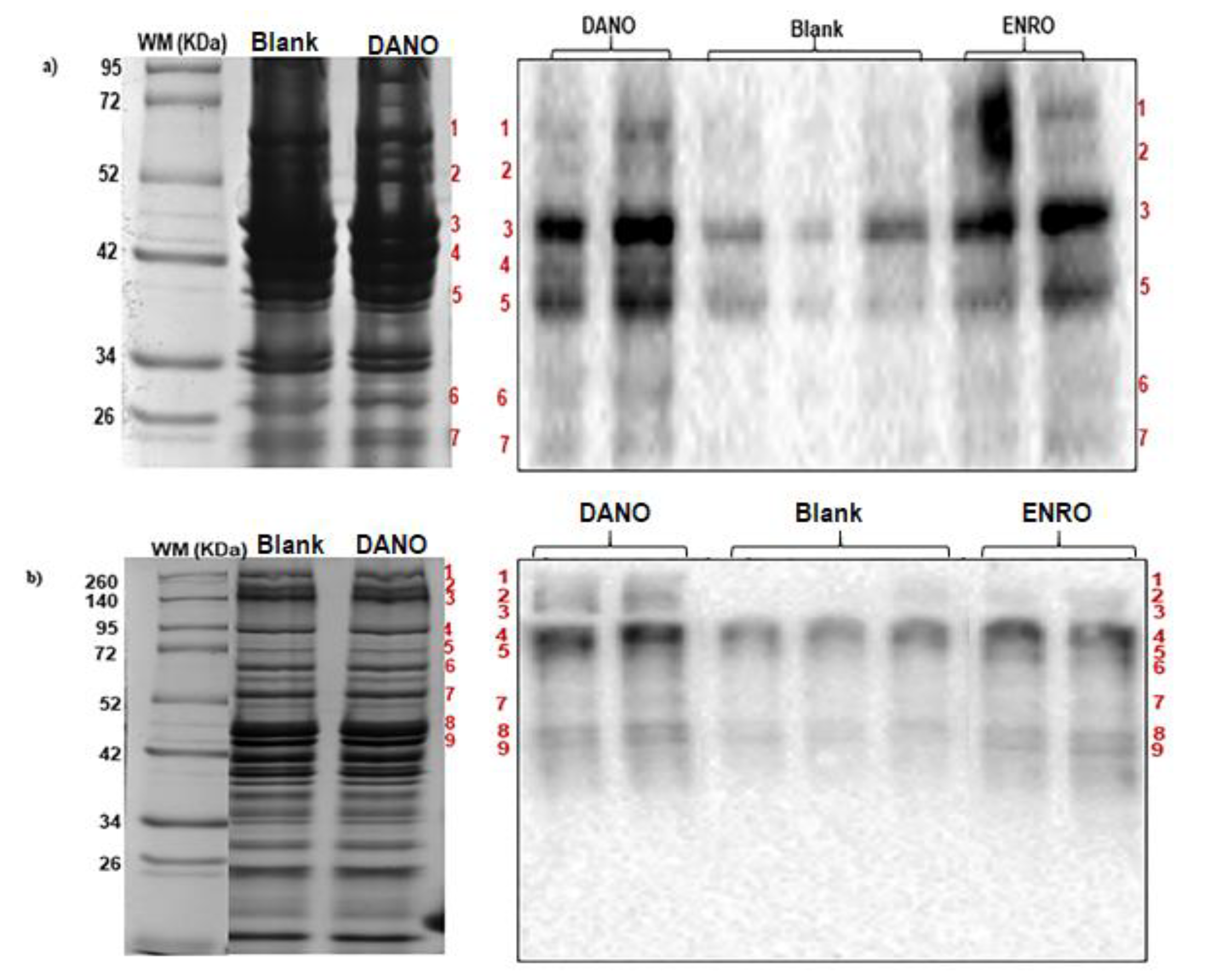 Foods | Free Full-Text | Residues of Fluoroquinolone ...